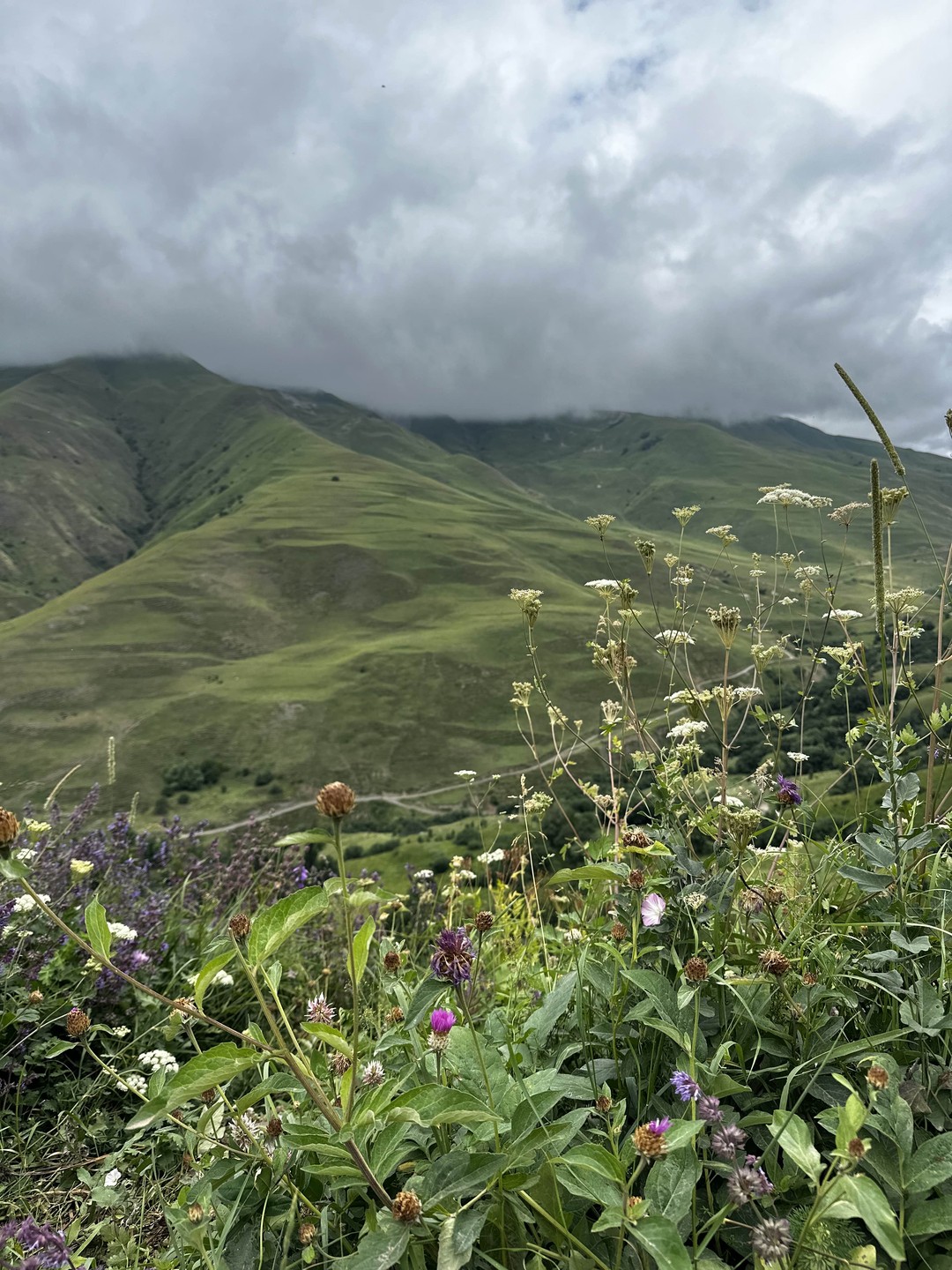 От Осетии до Дагестана. 4 дня на Кавказе. Из Владикавказа! (48/89)