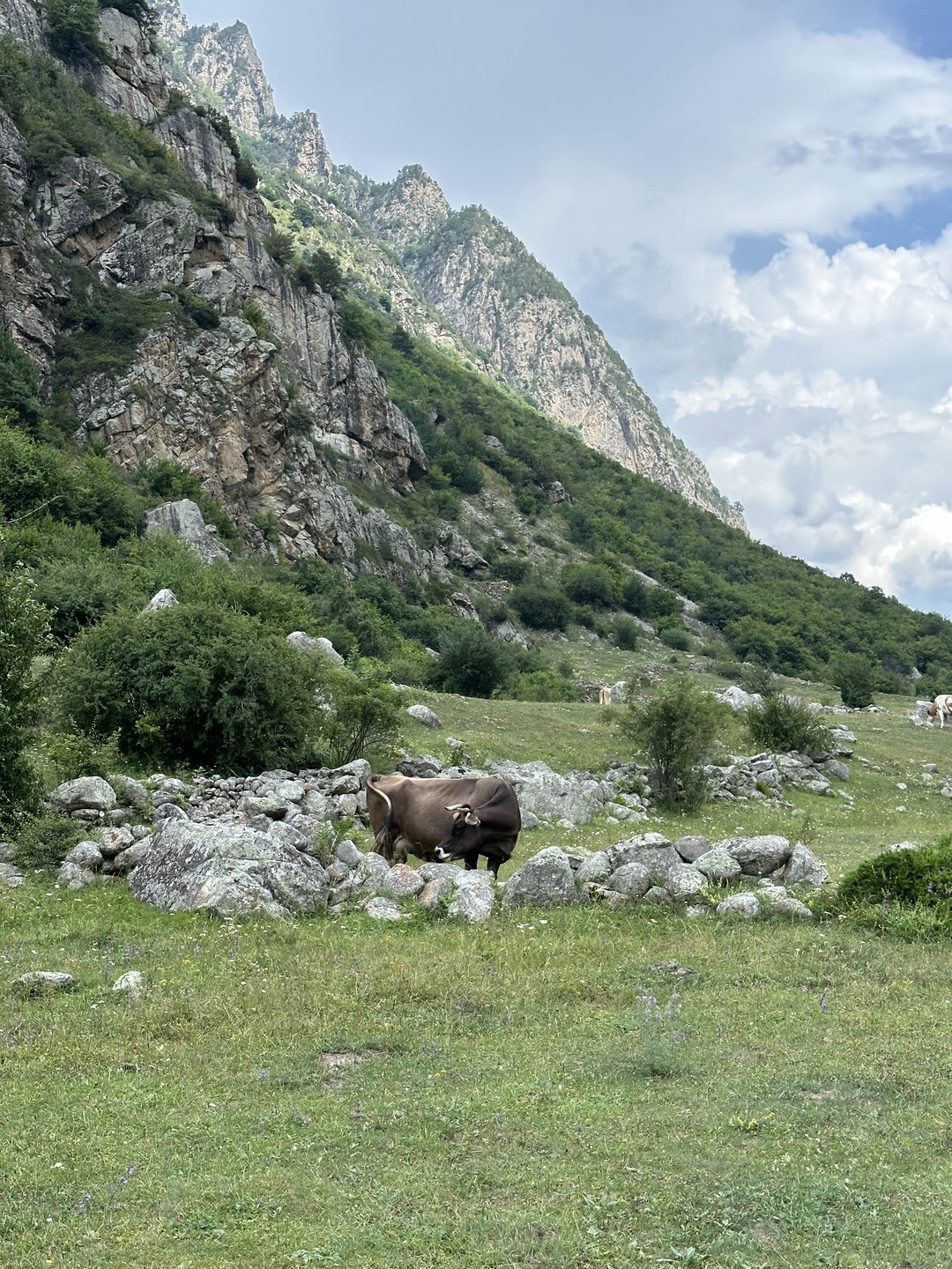 От Осетии до Дагестана. 4 дня на Кавказе. Из Владикавказа! (26/89)