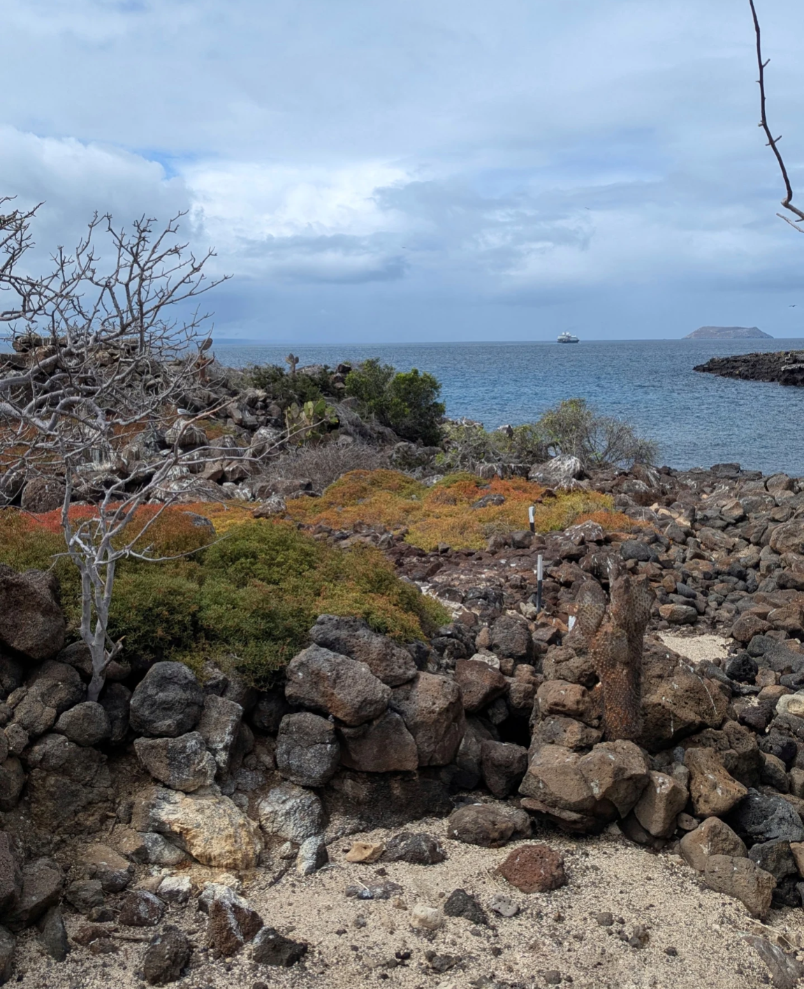 Колумбия, Эквадор и Галапагосы: 15 дней из  National Geographic (4/69)