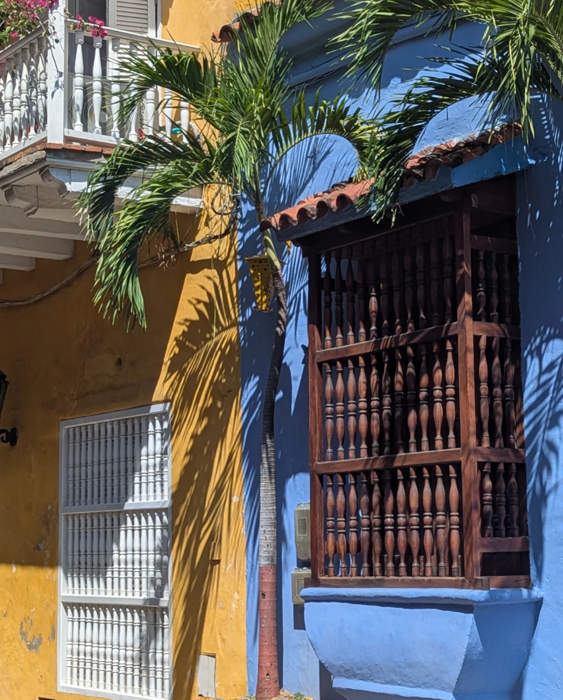 Колумбия, Эквадор и Галапагосы: 15 дней из  National Geographic (10/69)