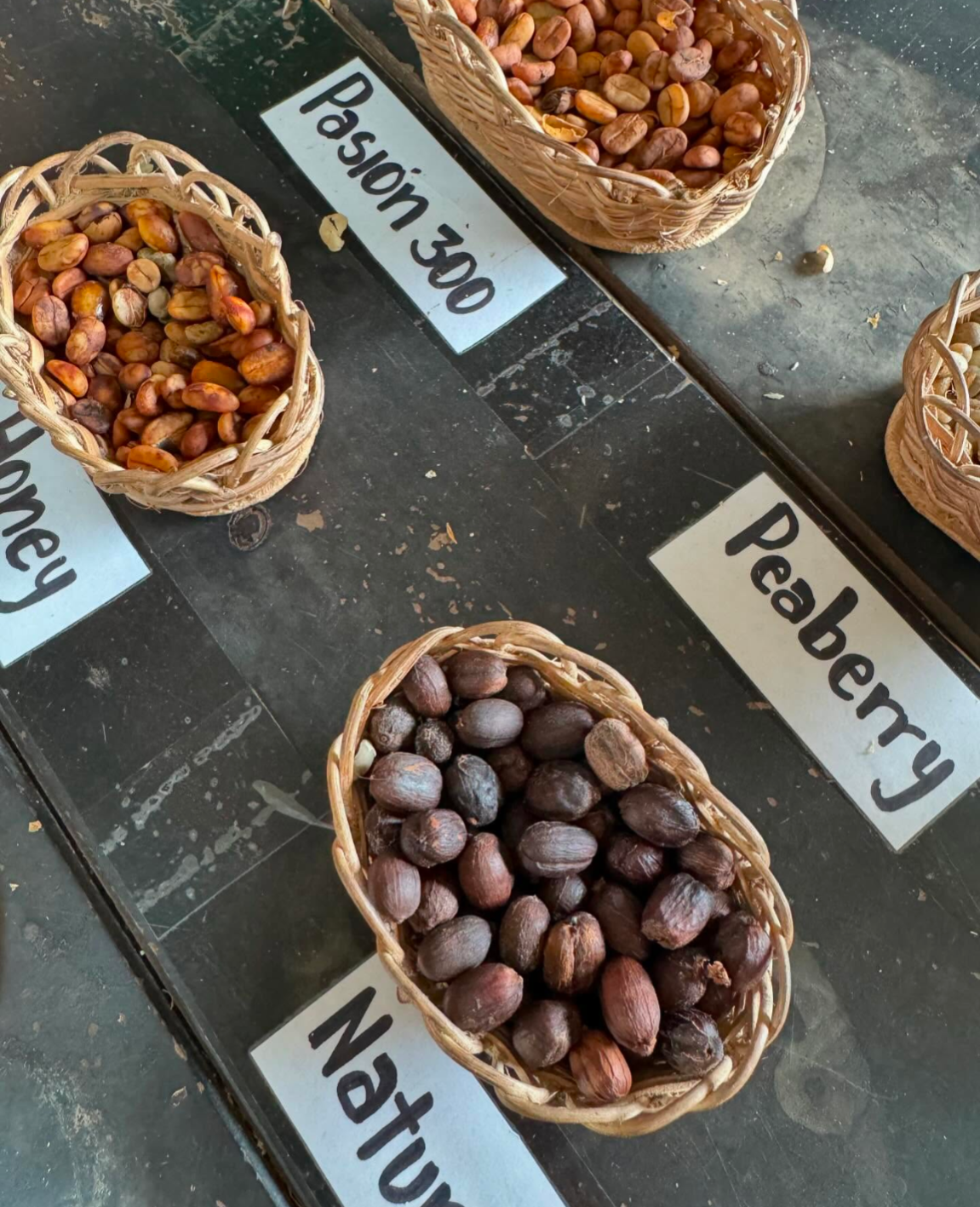 Колумбия, Эквадор и Галапагосы: 15 дней из  National Geographic (25/69)