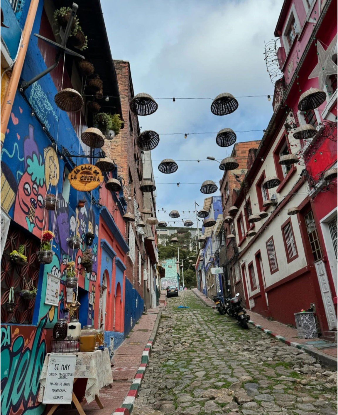 Колумбия, Эквадор и Галапагосы: 15 дней из  National Geographic (23/69)