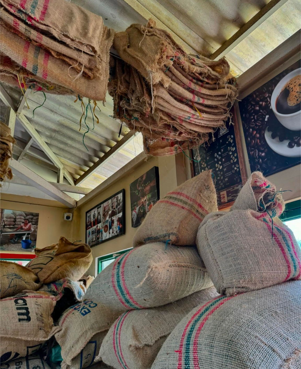 Колумбия, Эквадор и Галапагосы: 15 дней из  National Geographic (26/69)