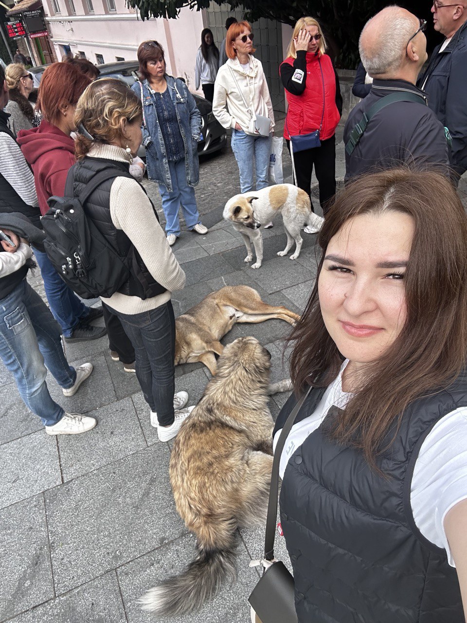 Перезагрузка по-грузински! Лайт. (403/405)