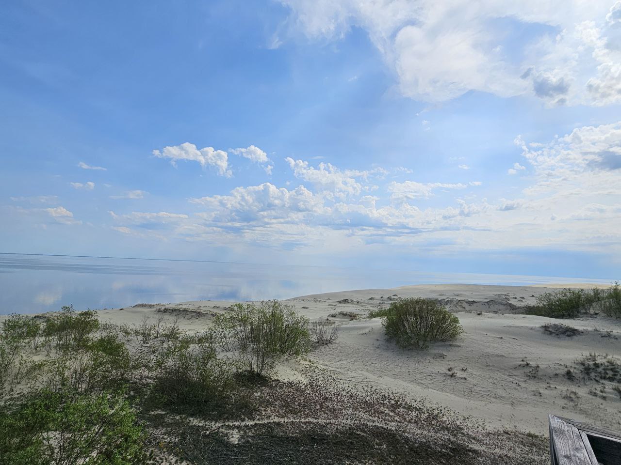 Балтика для романтиков (14/19)