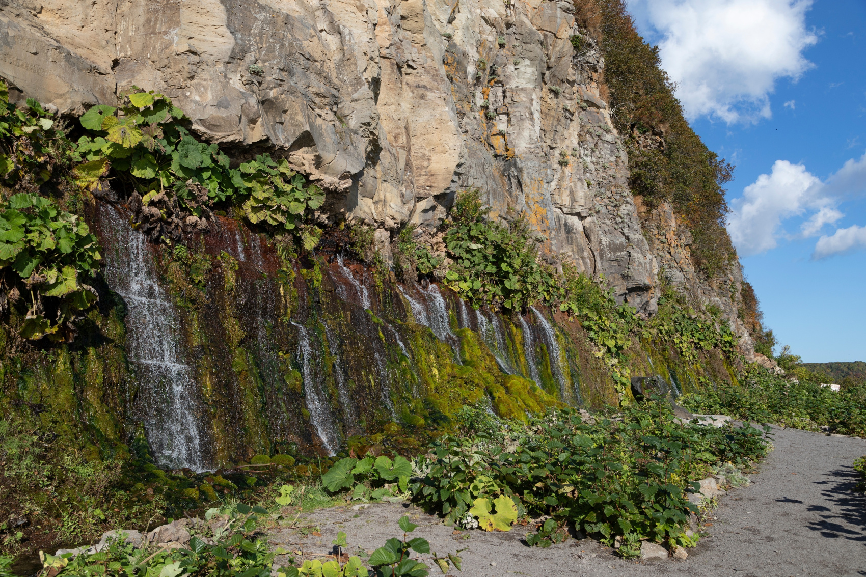 Сахалин и Итуруп: Уникальное путешествие в край первозданной природы (5/7)