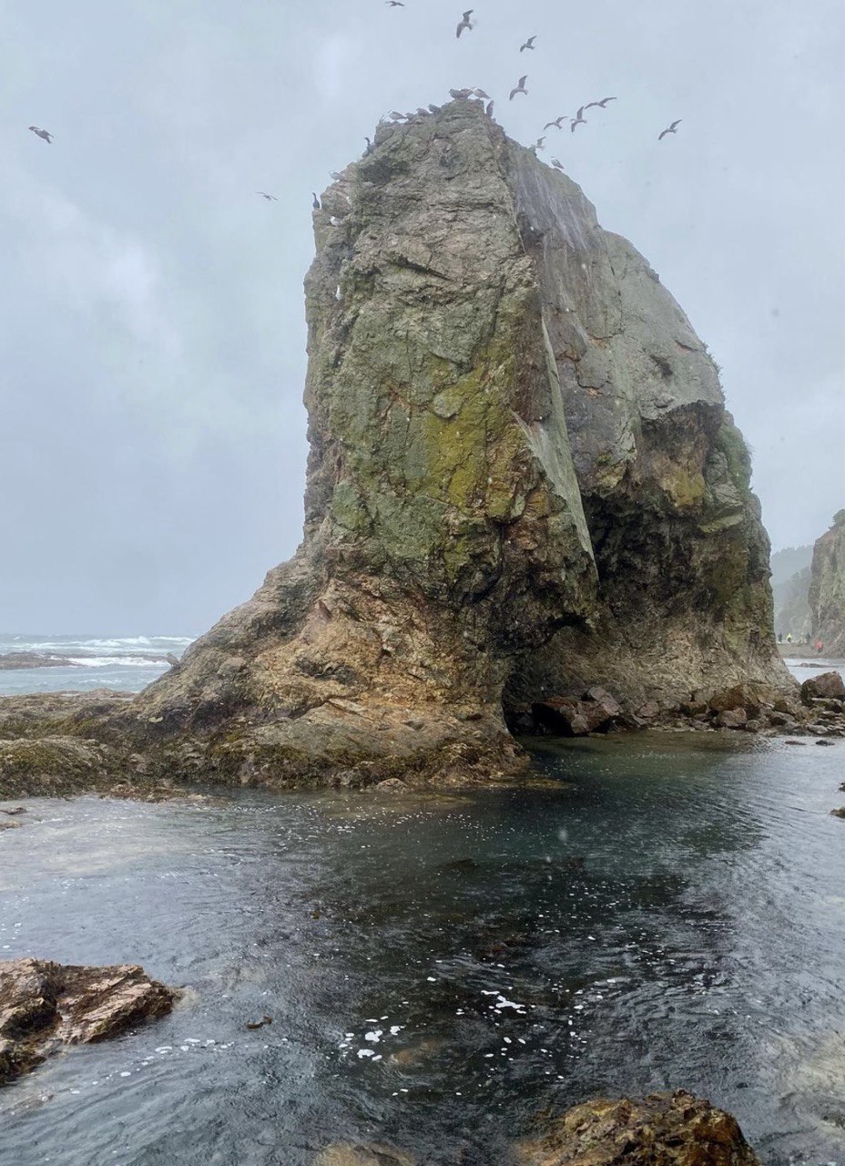 Сахалин и Итуруп: Уникальное путешествие в край первозданной природы (3/7)