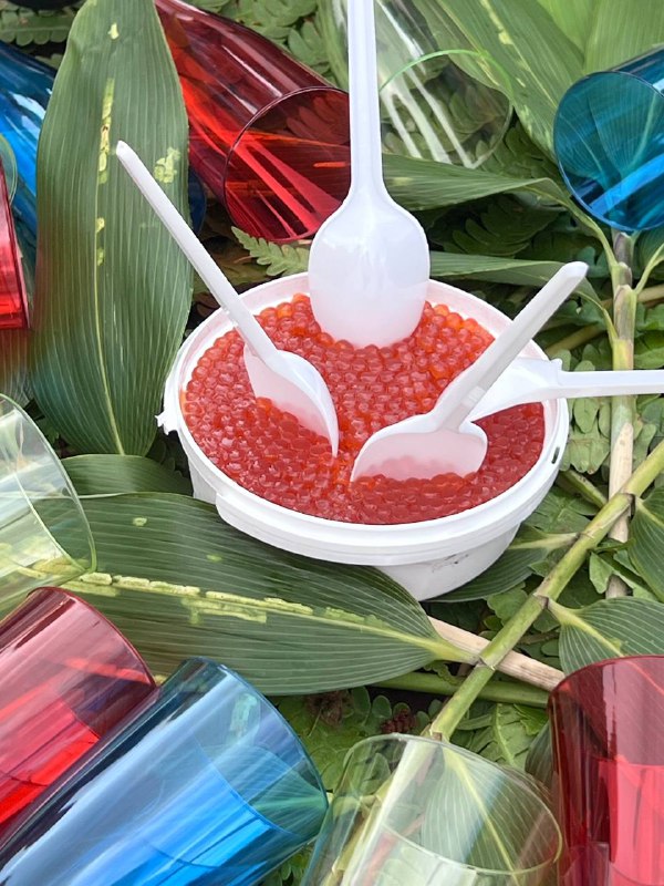 Сахалин и Итуруп: 8 дней на краю земли (25/38)