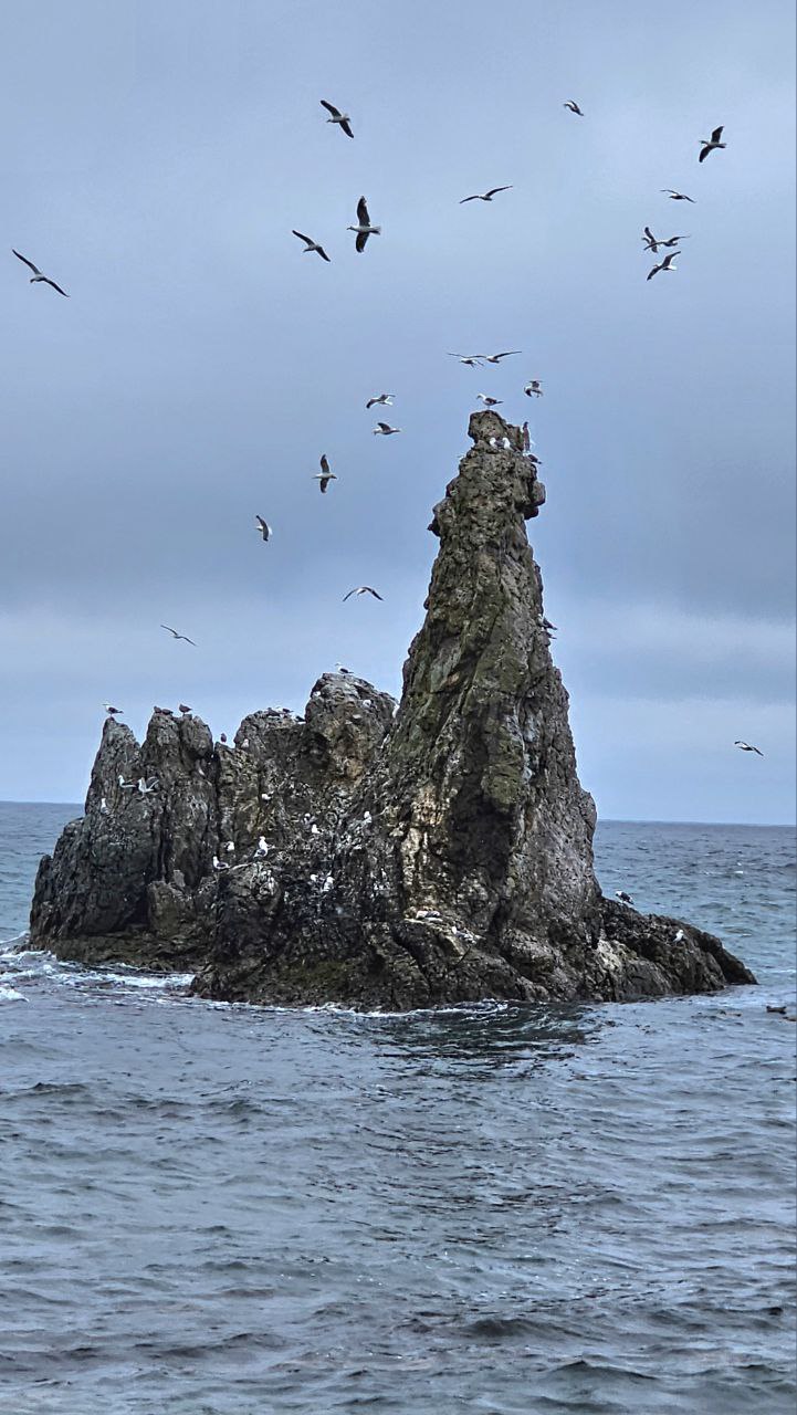 Сахалин и Итуруп: 8 дней на краю земли (12/38)