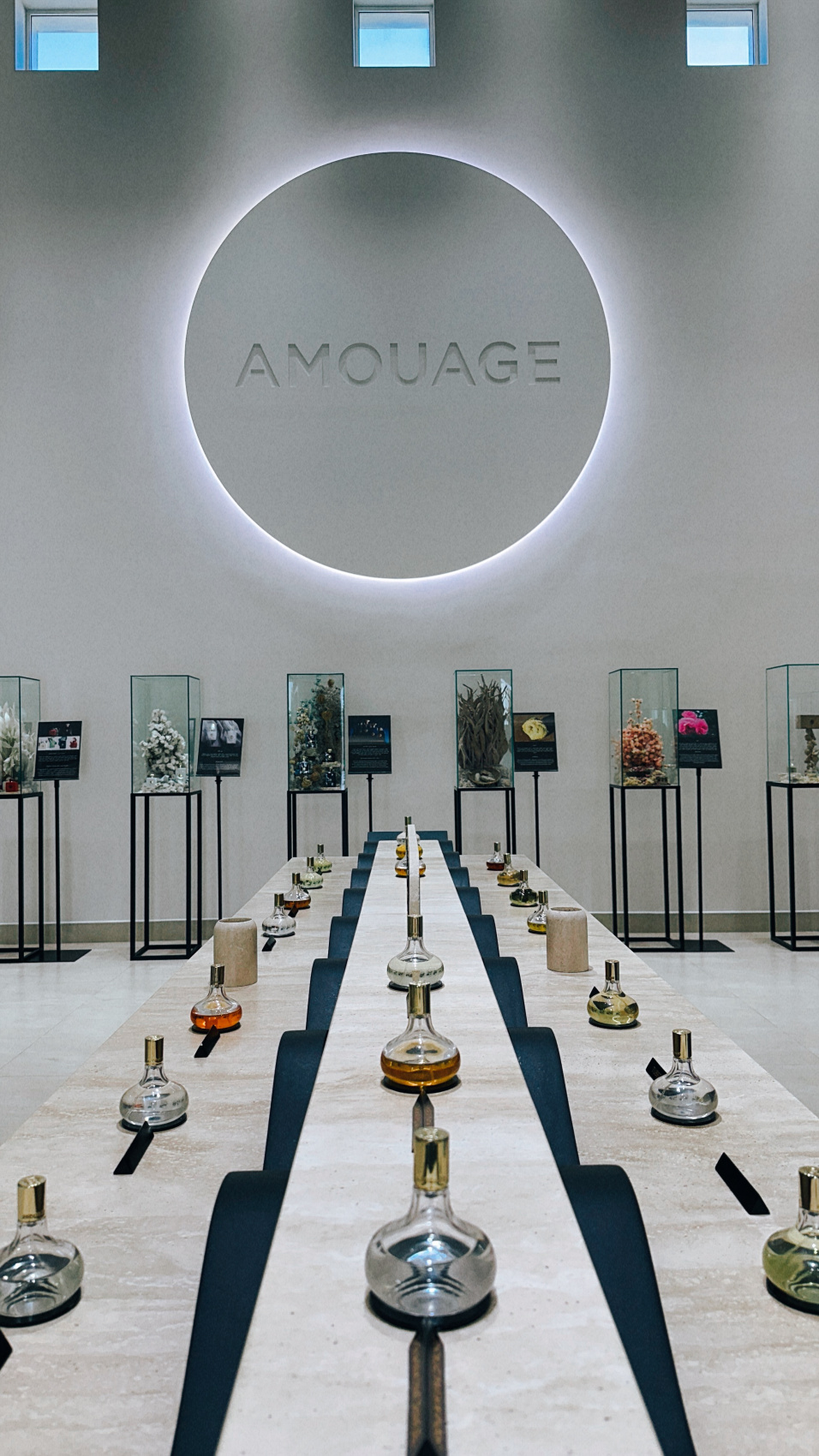 Между дюнами и мечтой. Майские каникулы в сказочном Омане (35/66)