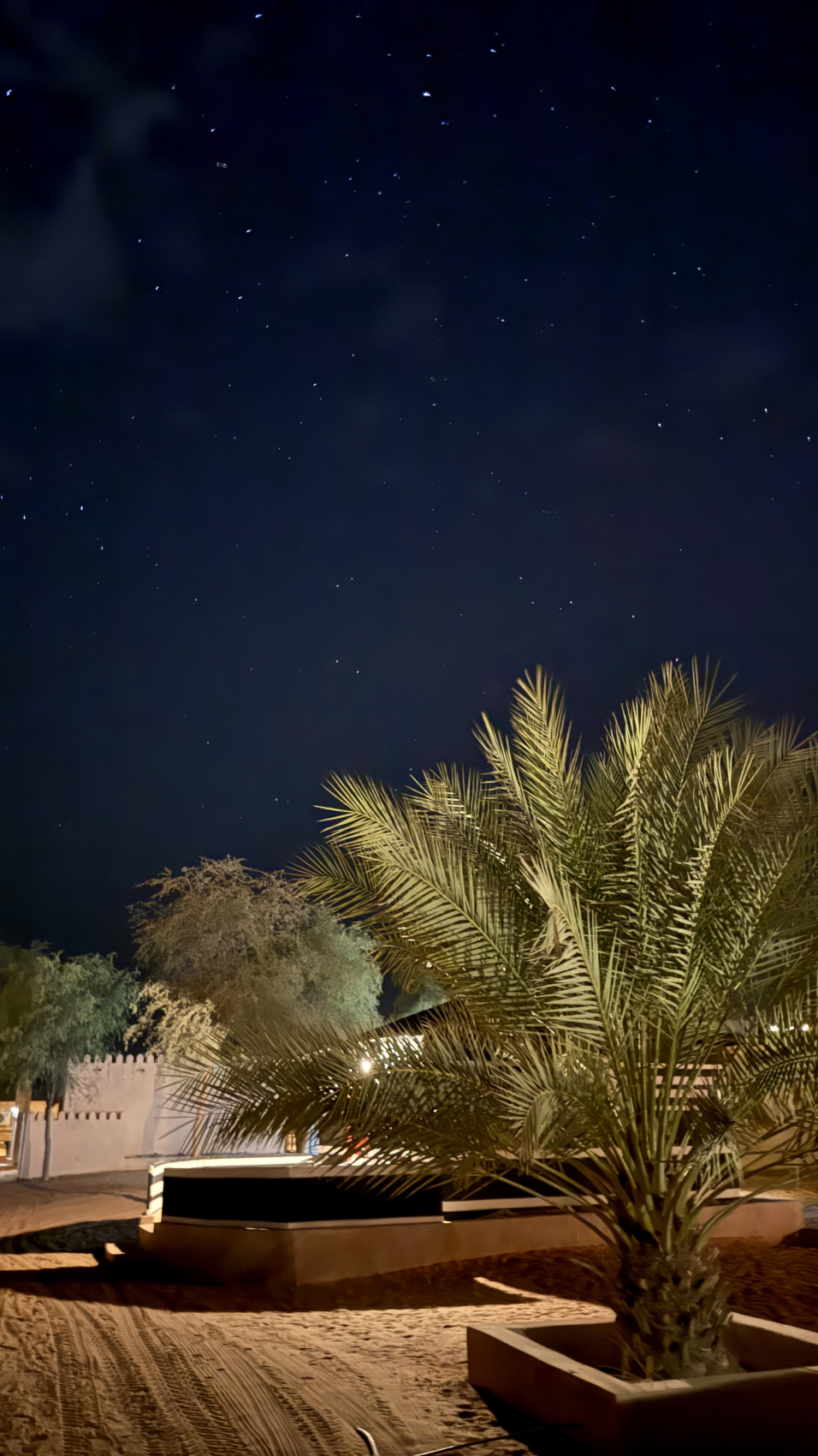 Между дюнами и мечтой. Майские каникулы в сказочном Омане (22/66)