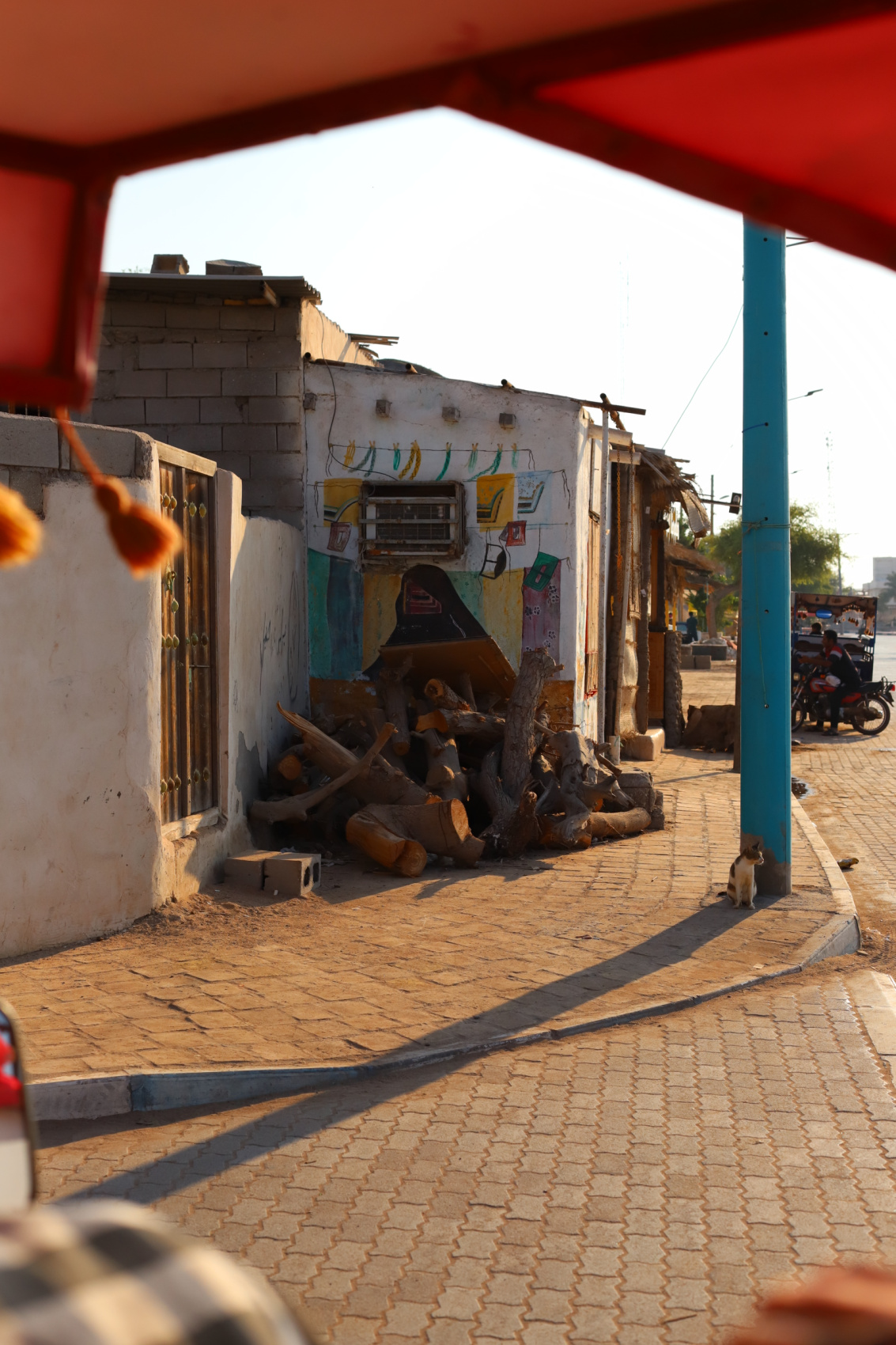 Воздушные купола Персии. Фотодевичник в Иране (19/95)