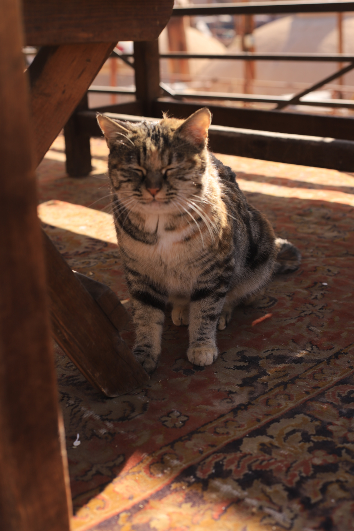 Воздушные купола Персии. Фотодевичник в Иране (43/95)