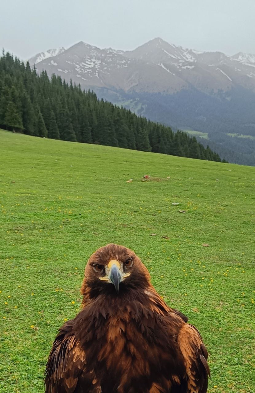 Июньская сказка: Путешествие по Красотам Кыргызстана (13/34)