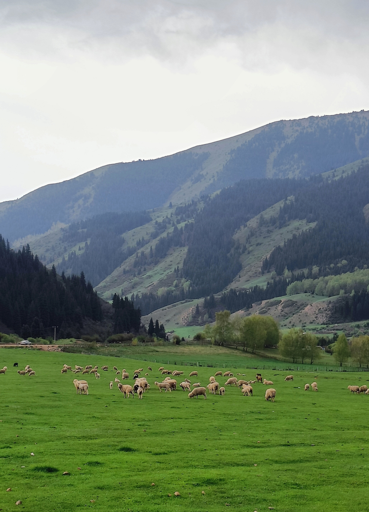 Июньская сказка: Путешествие по Красотам Кыргызстана (6/34)