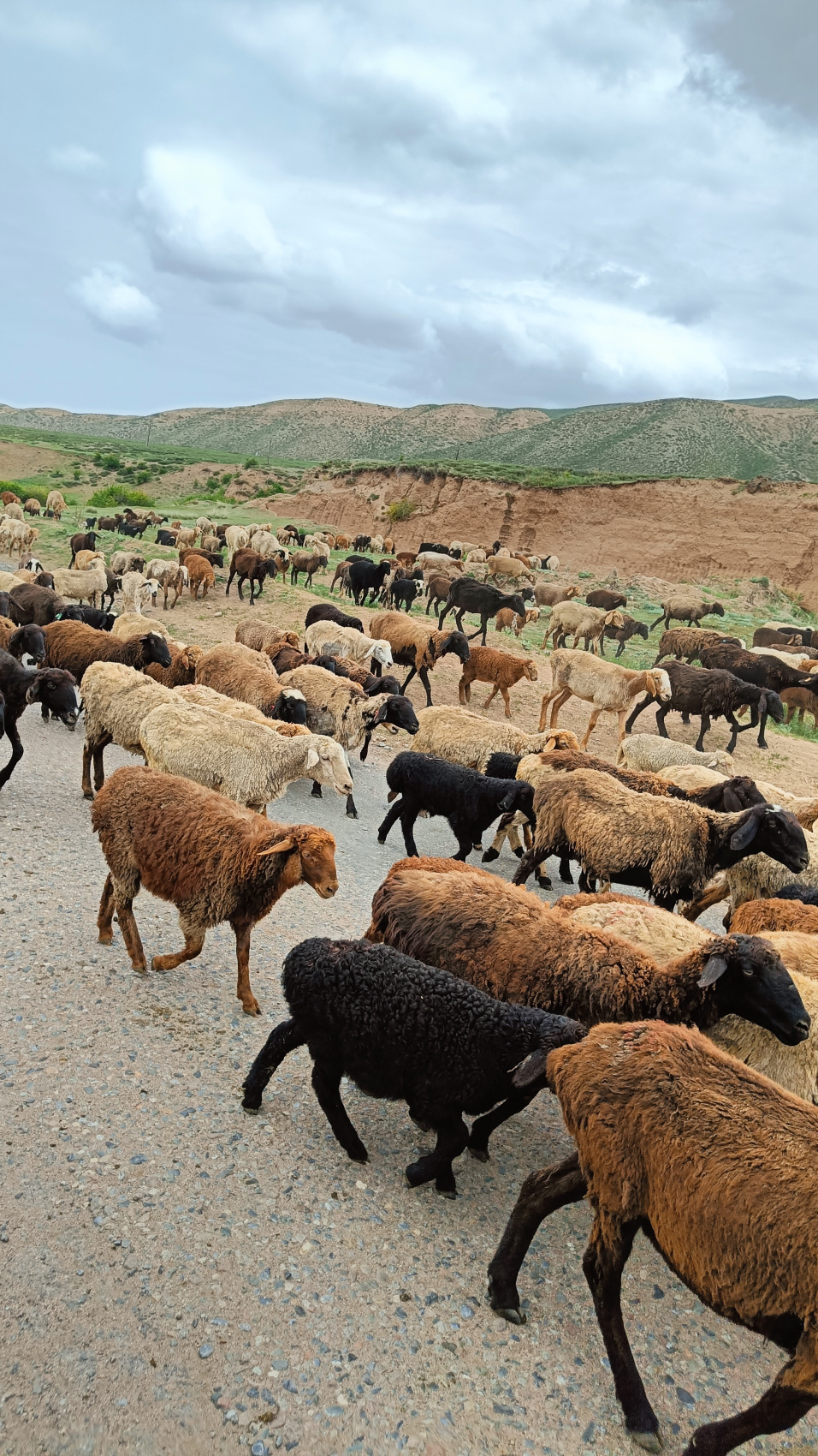Июньская сказка: Путешествие по Красотам Кыргызстана (22/34)