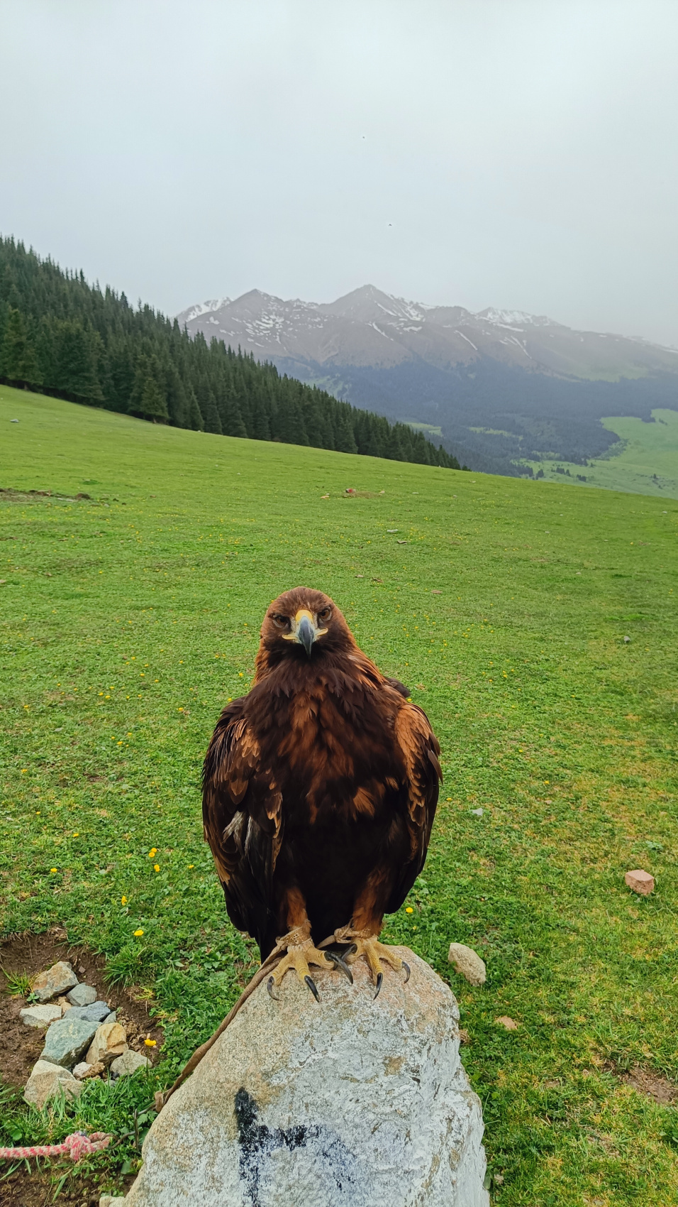 Июньская сказка: Путешествие по Красотам Кыргызстана (2/34)