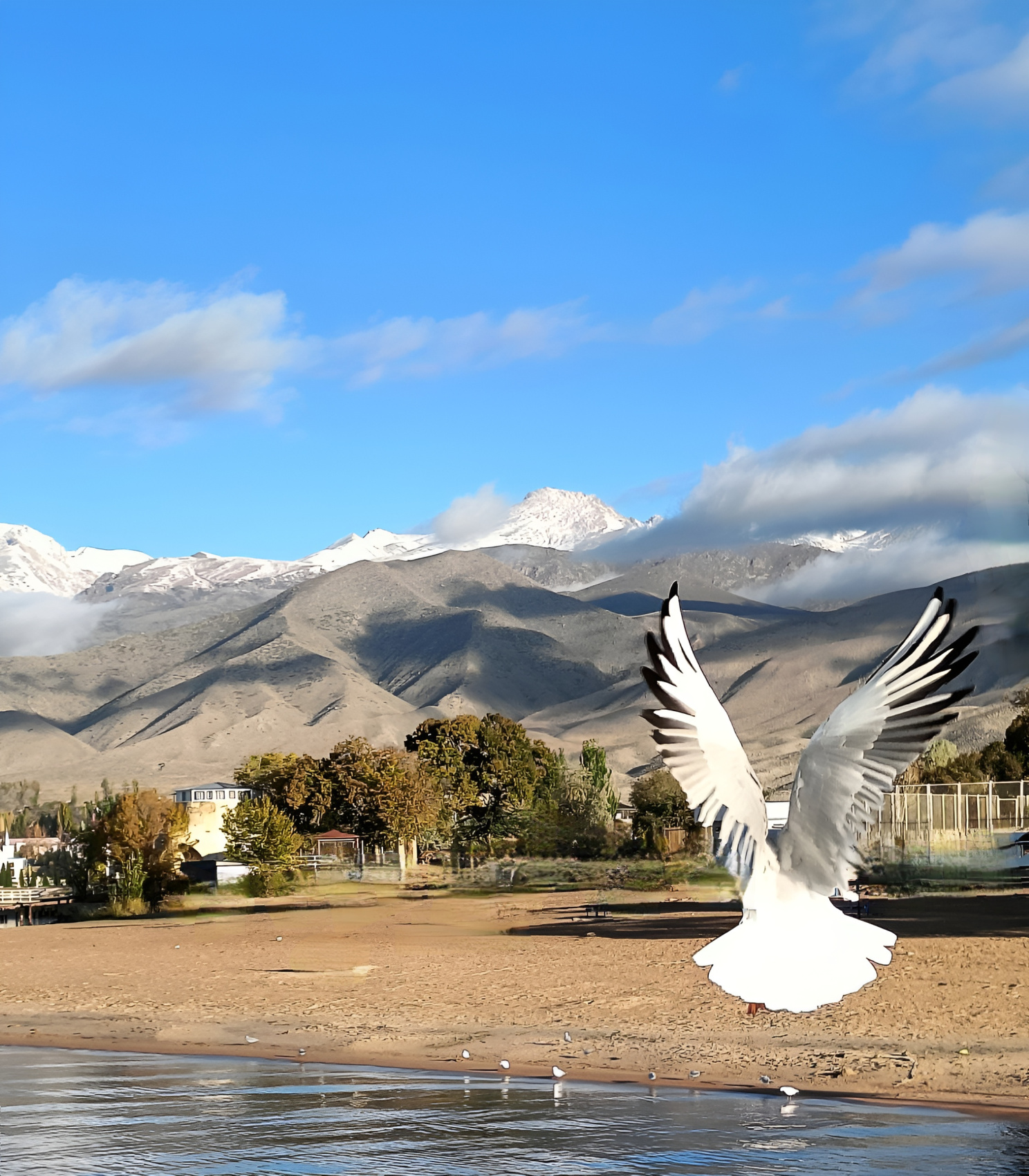 Июньская сказка: Путешествие по Красотам Кыргызстана