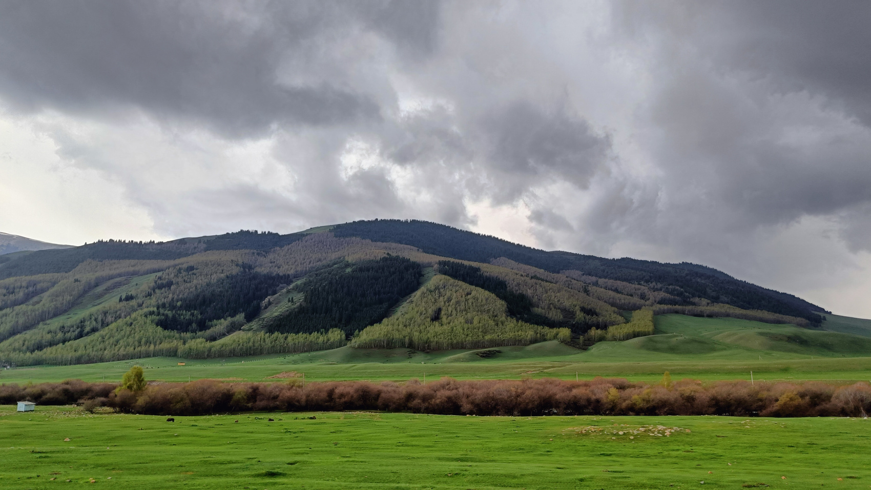 Июньская сказка: Путешествие по Красотам Кыргызстана (7/34)