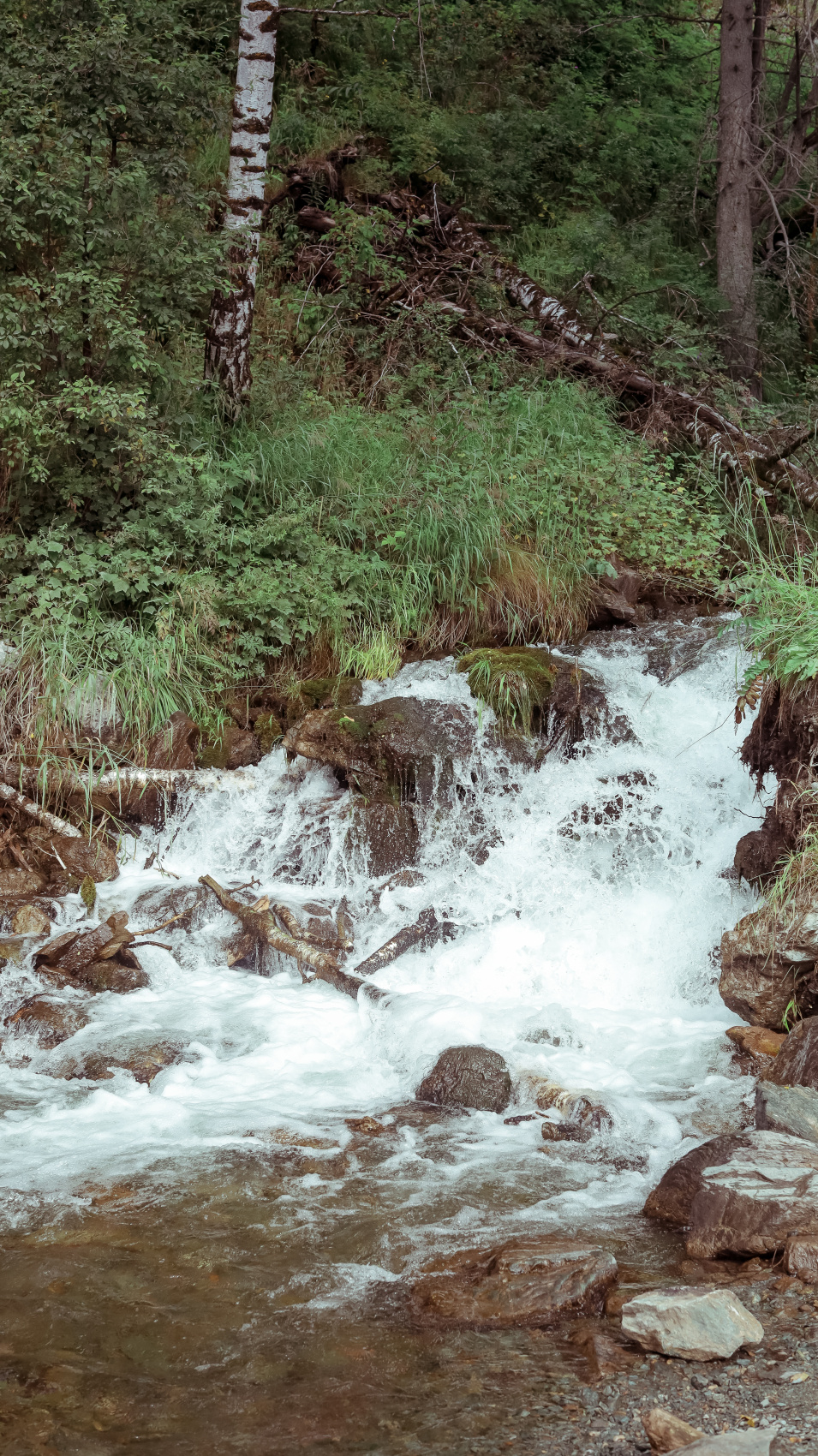 Комфортный треккинг-тур по Мультинским озерам (ночевки в теплых домиках) (12/47)