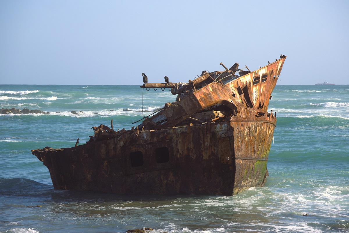 Юар: Треккинги, сафари, экскурсии, винодельни (37/62)