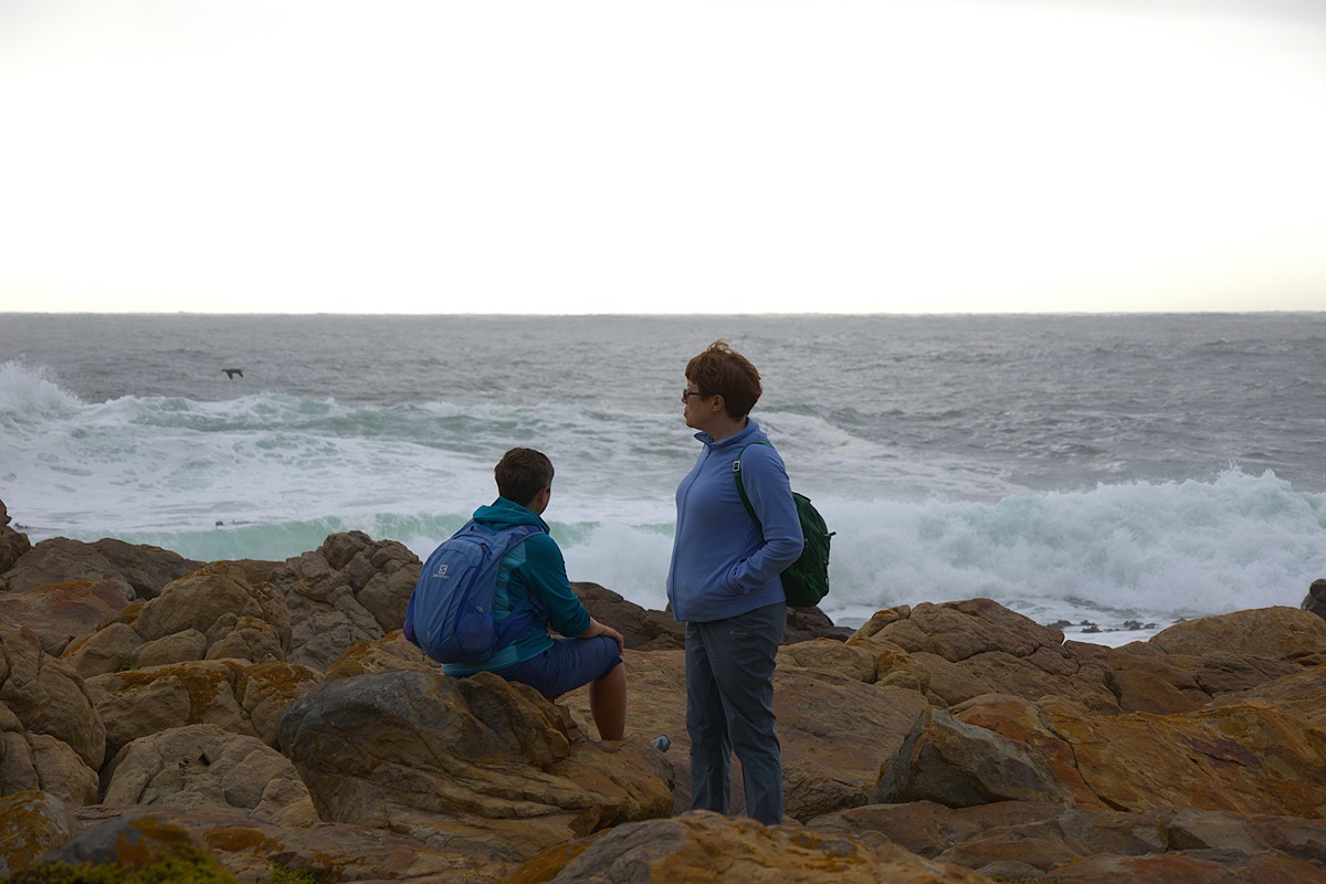 Юар: Треккинги, сафари, экскурсии, винодельни (36/62)