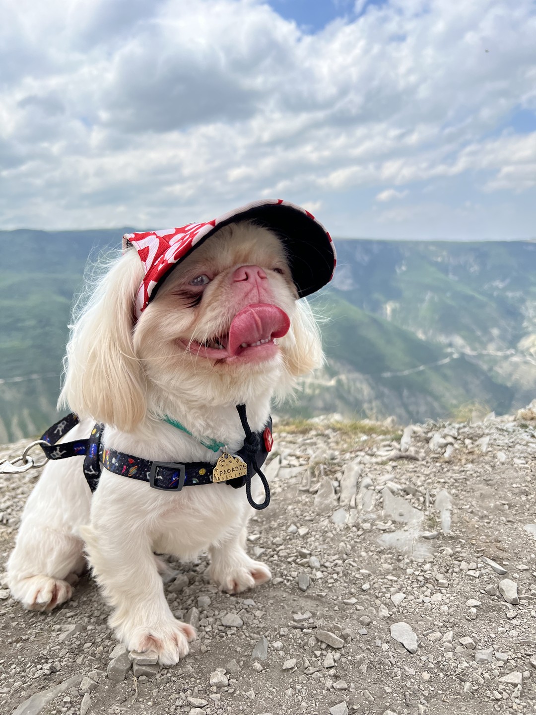 Истинный Дагестан: 5 дней открытий (15/46)