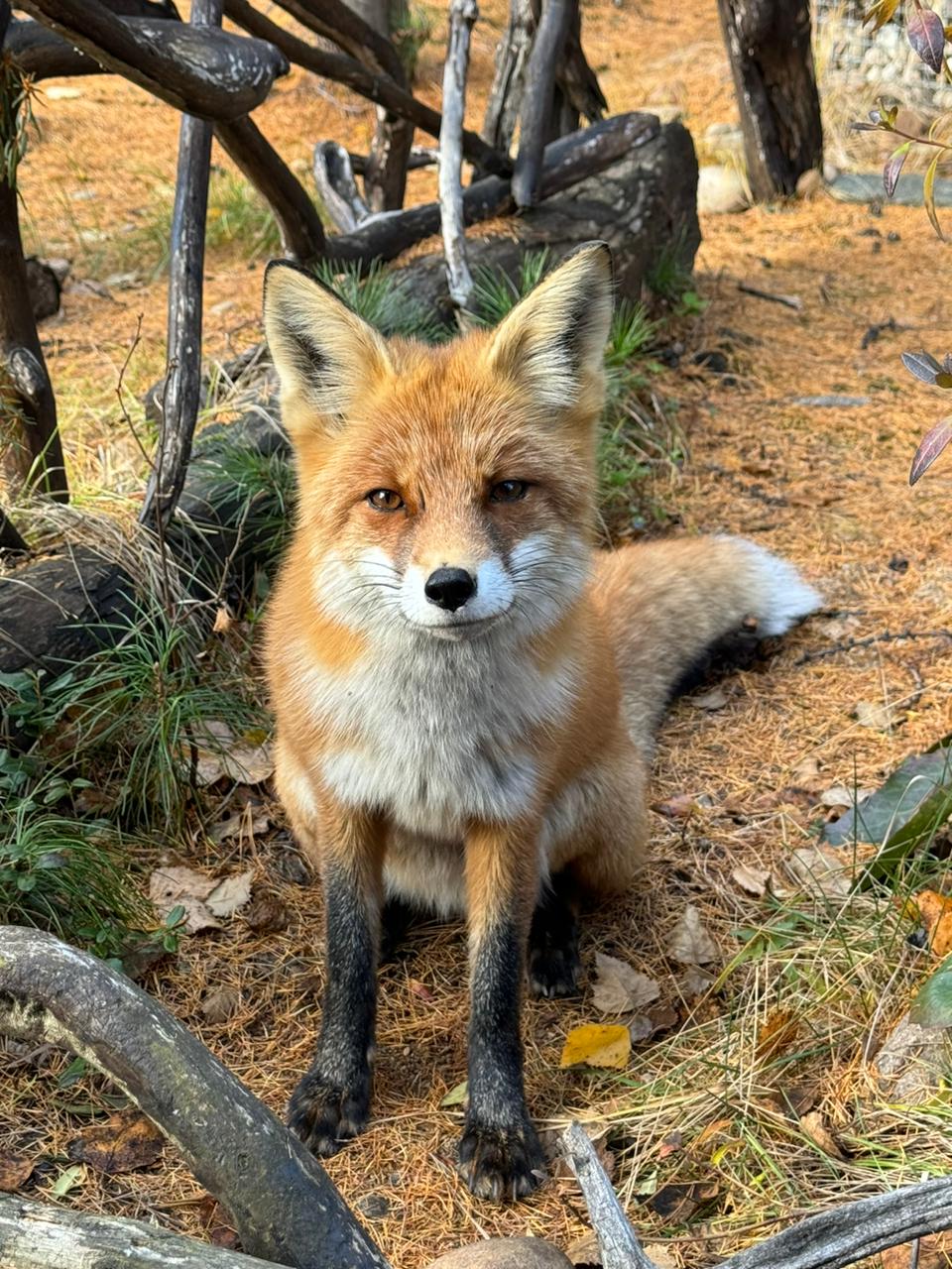 мини-тур Отдых в Хакусах (13/43)