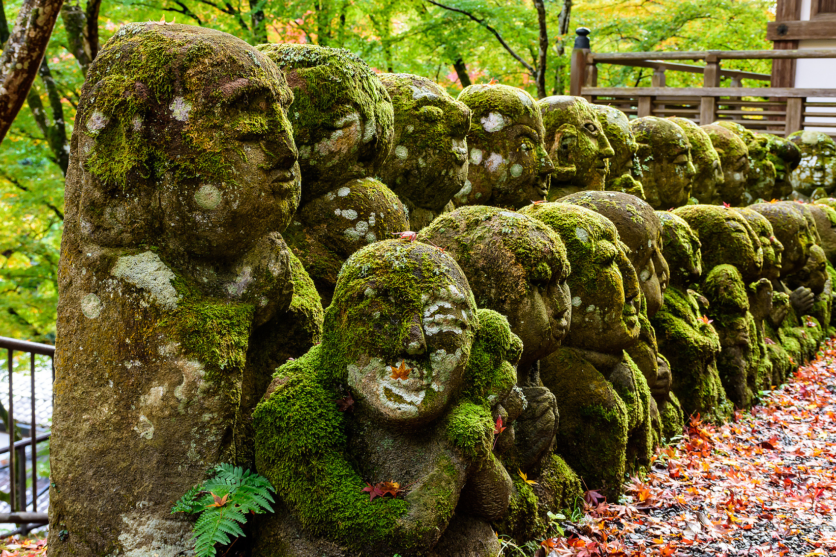 Ваби Саби - Душа Японии (2/38)