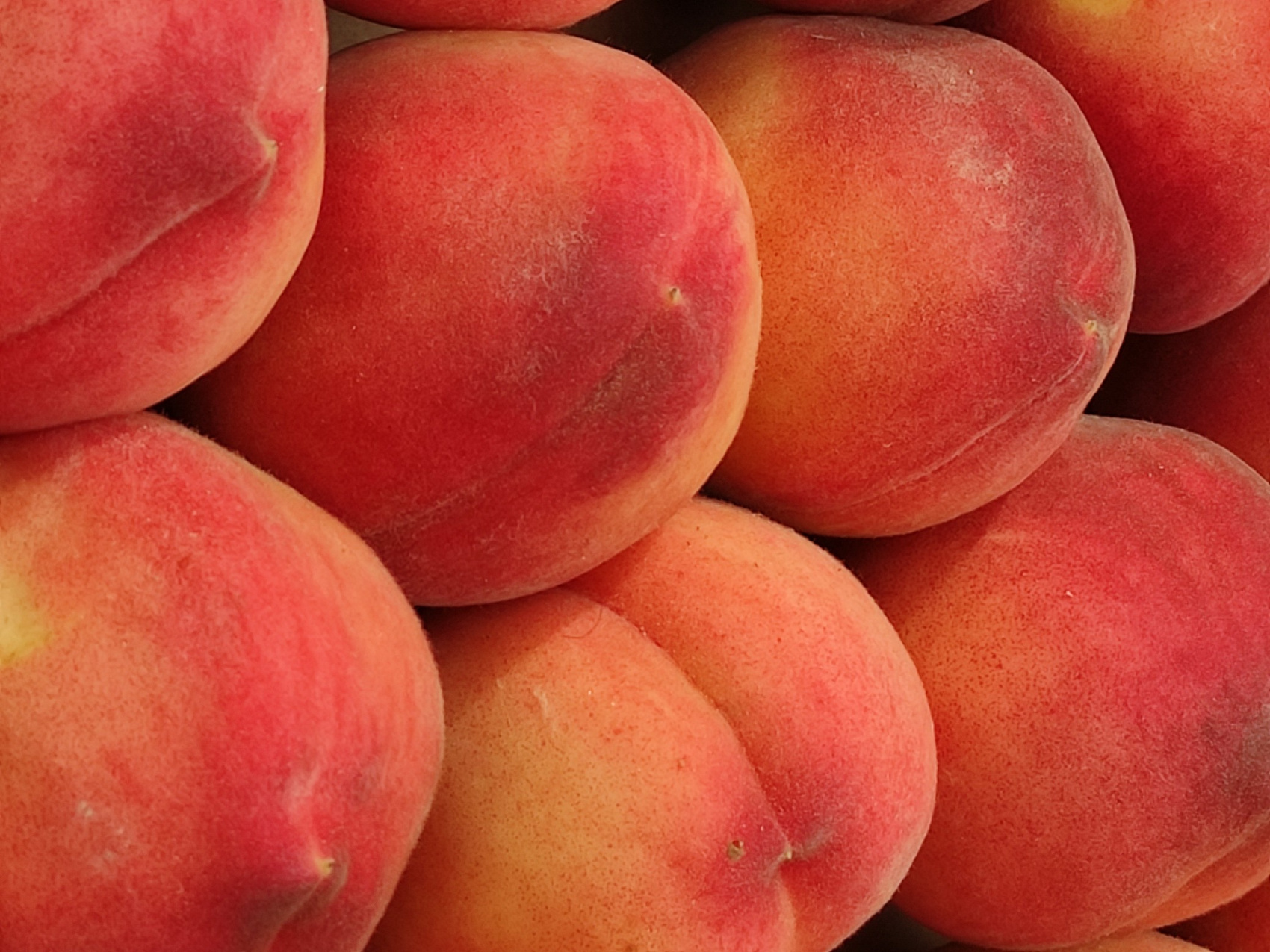 Пляжный Дагестан (г. Каспийск) (61/85)