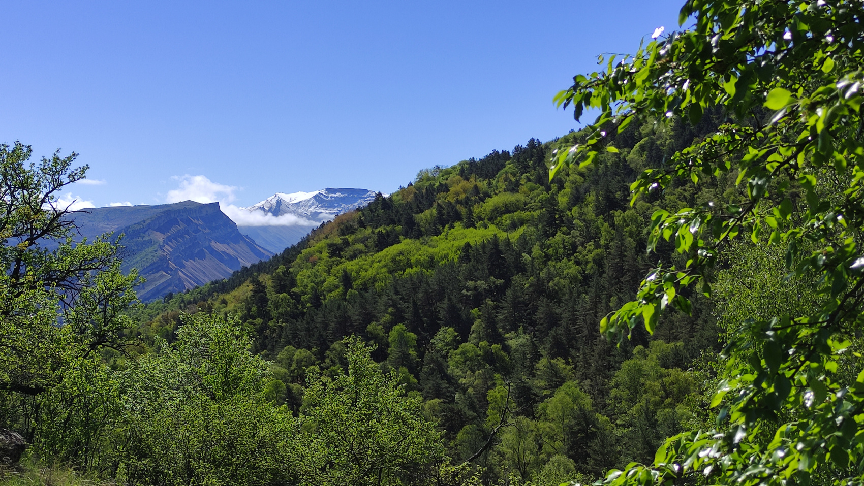 Пляжный Дагестан (г. Каспийск) (5/85)