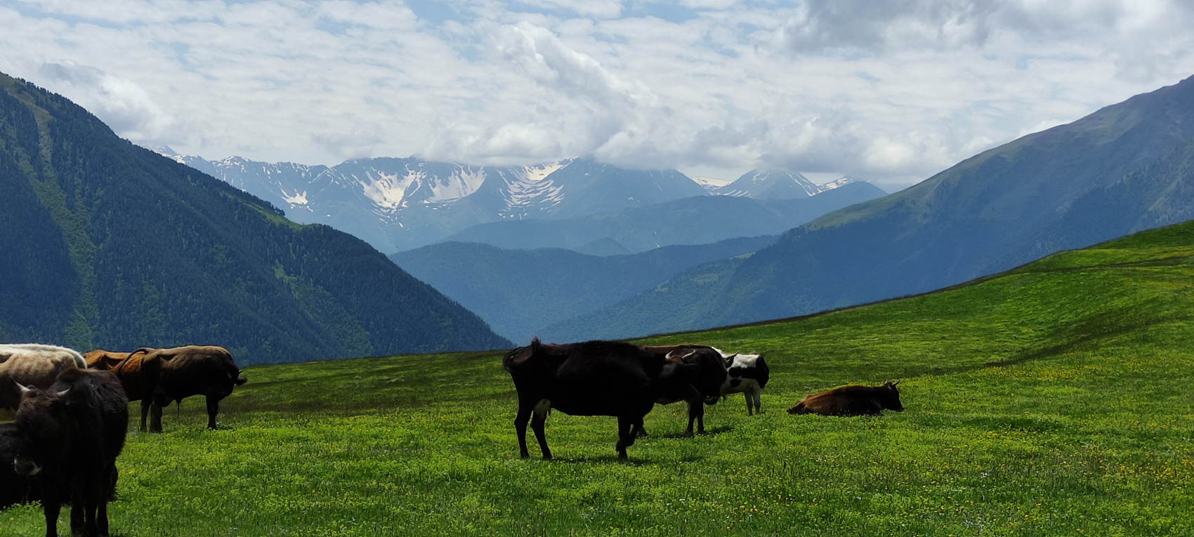 Пляжный Дагестан (г. Каспийск) (27/85)