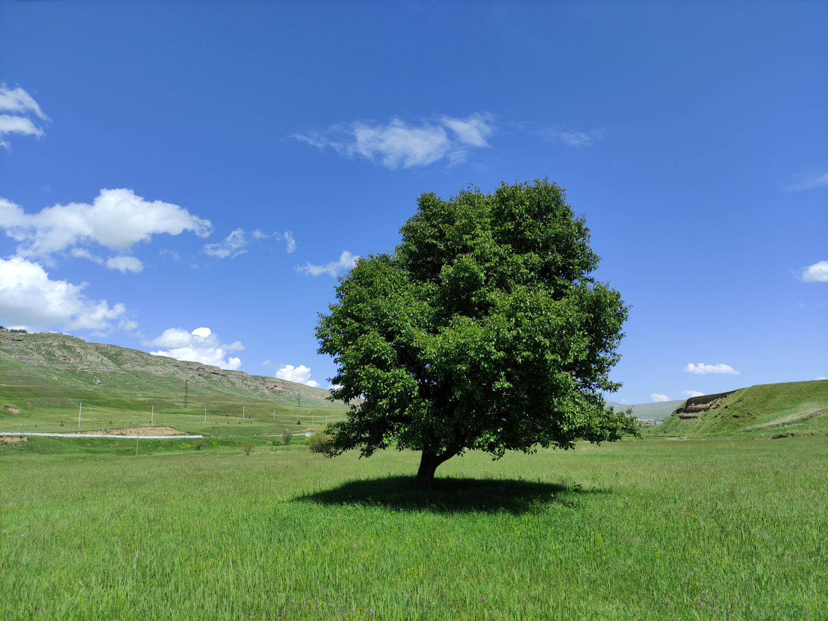 Пляжный Дагестан (г. Каспийск) (46/85)