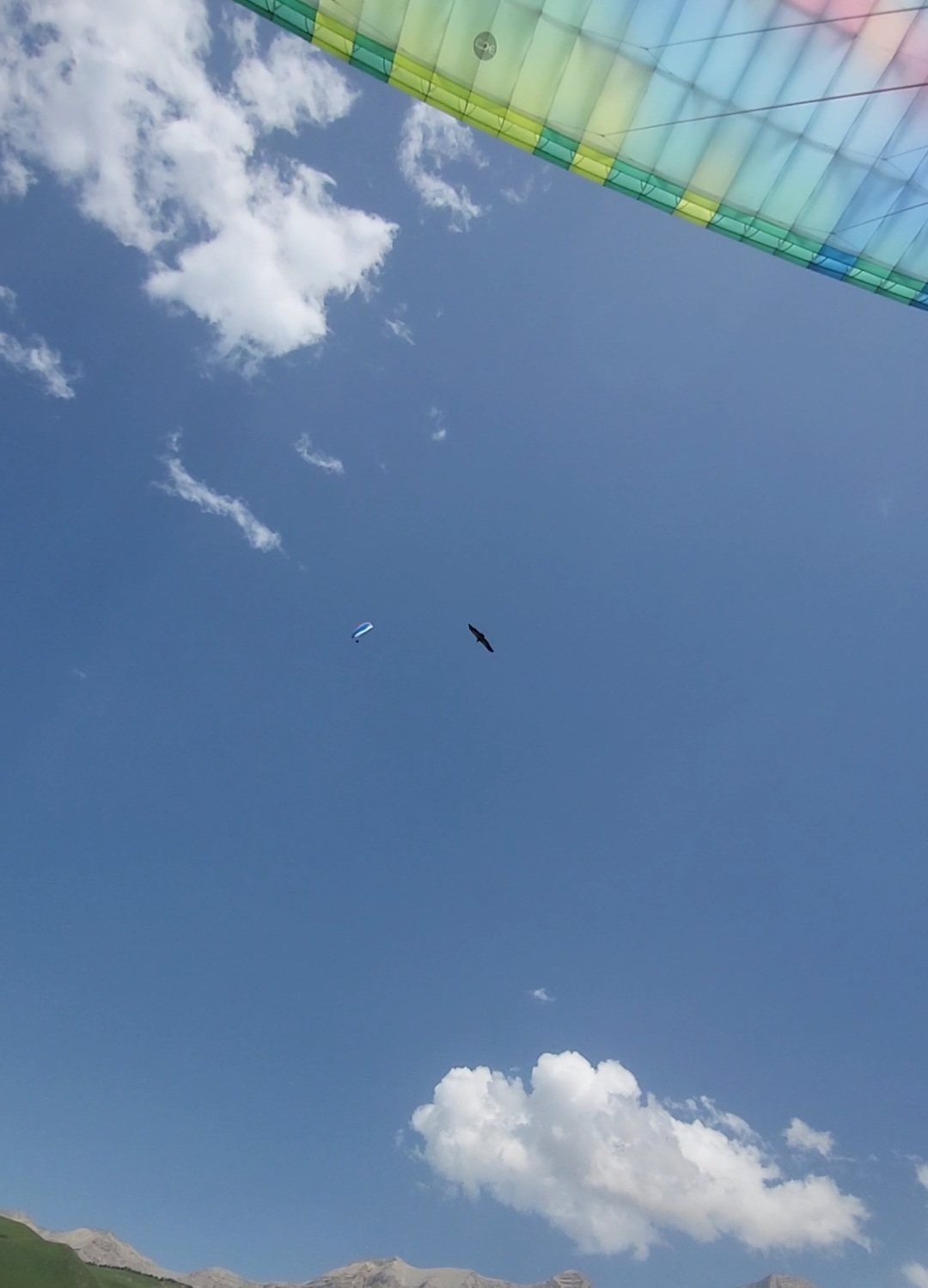 Архыз Домбай Эльбрус Чегем (17/19)