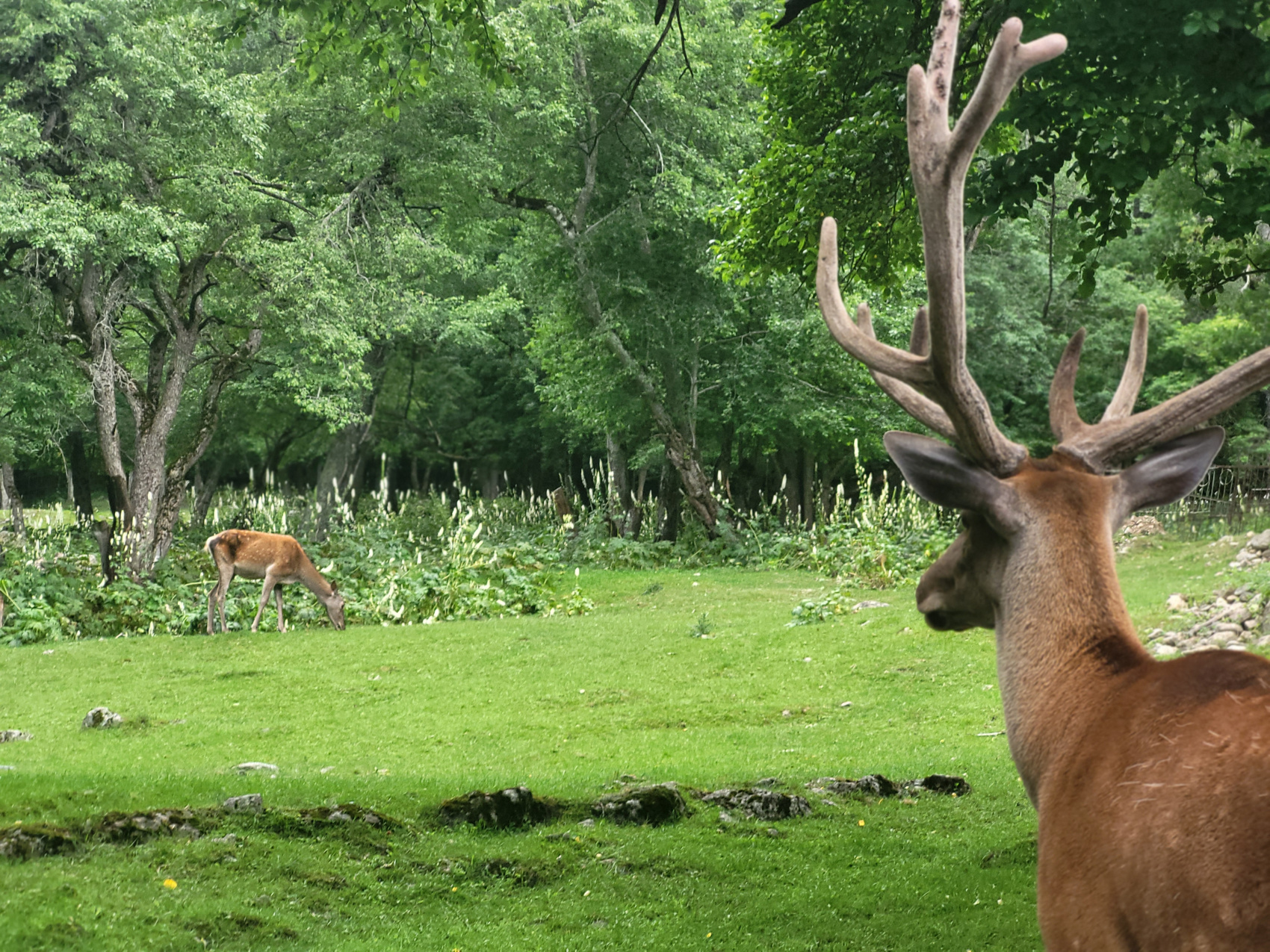 Архыз Домбай Эльбрус Чегем (9/19)