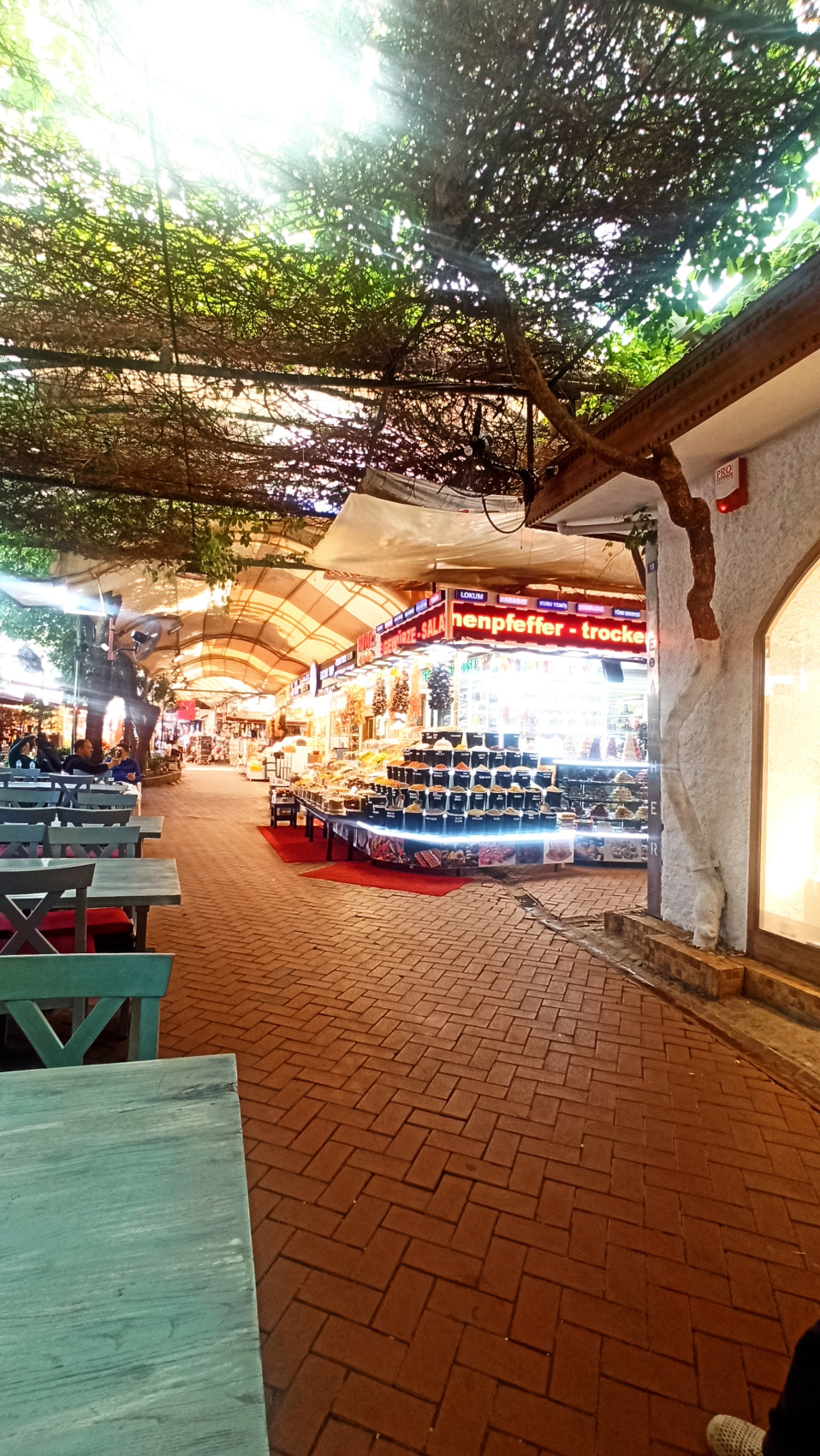 Аренда парусной яхты для путешествия по Турецкой ривьере (44/77)