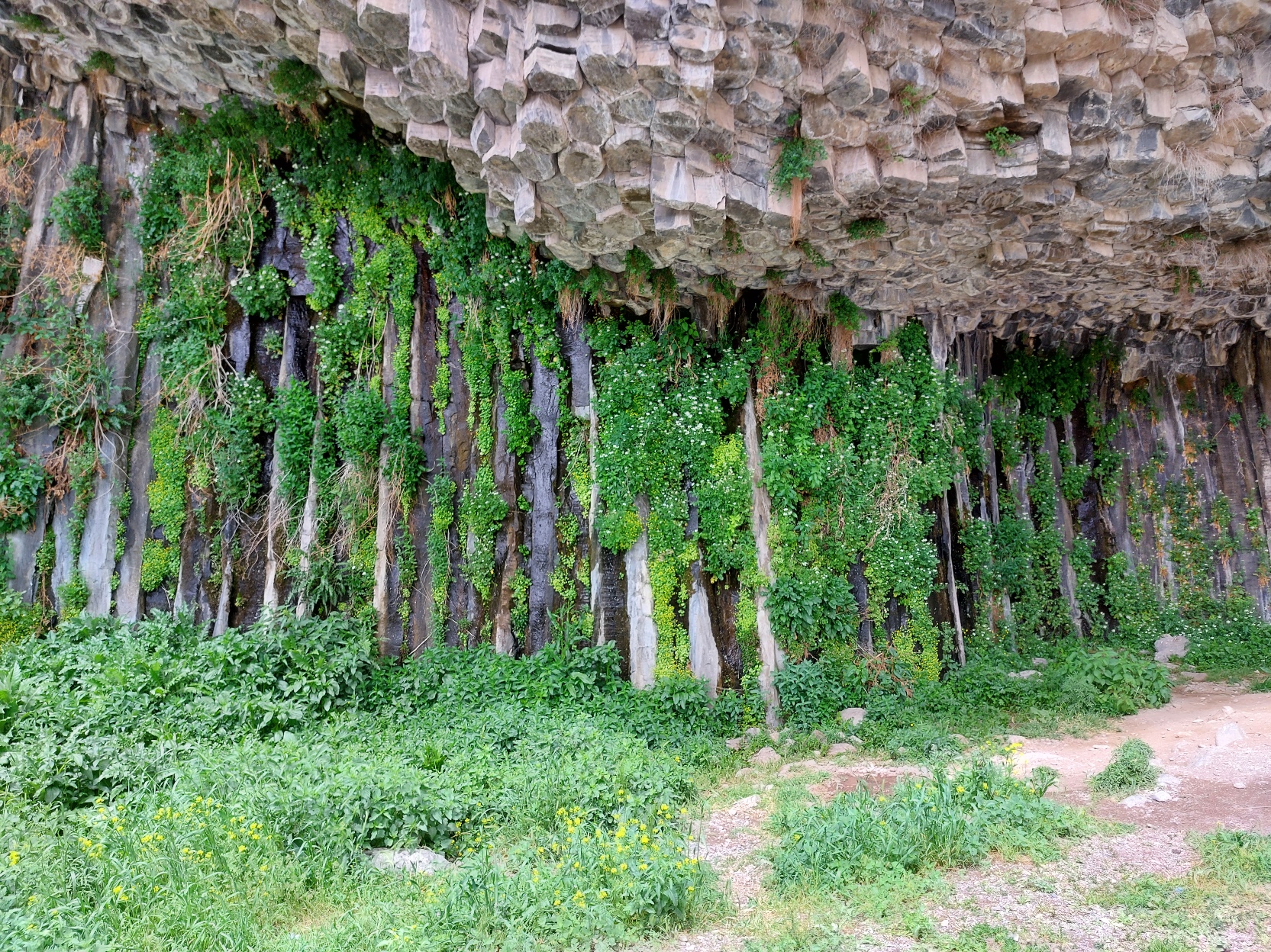 Многоликая Армения за 8 дней! (8/39)