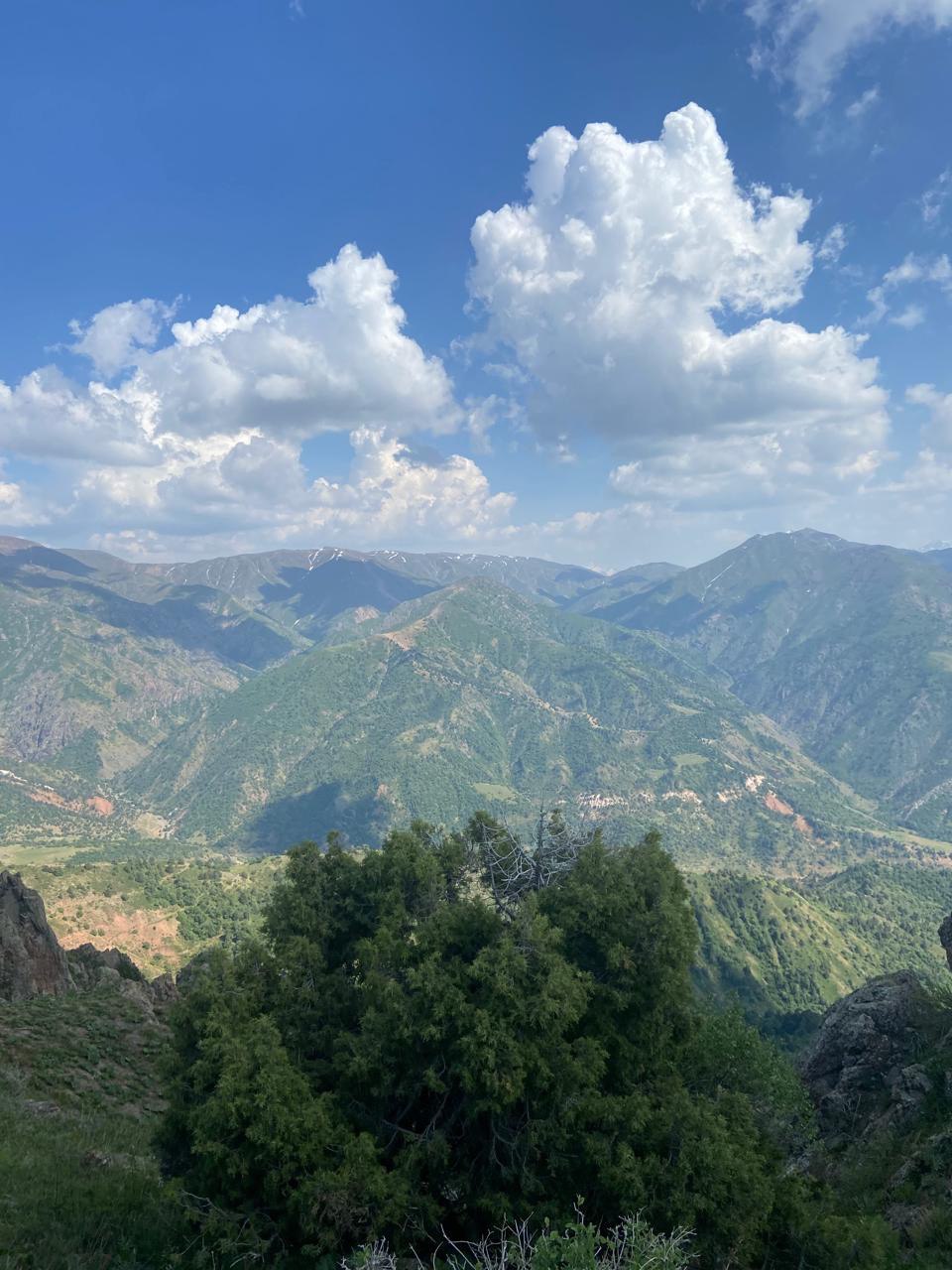 Города и горы Ташкент-Чимган-Самарканд-Бухара (4/25)