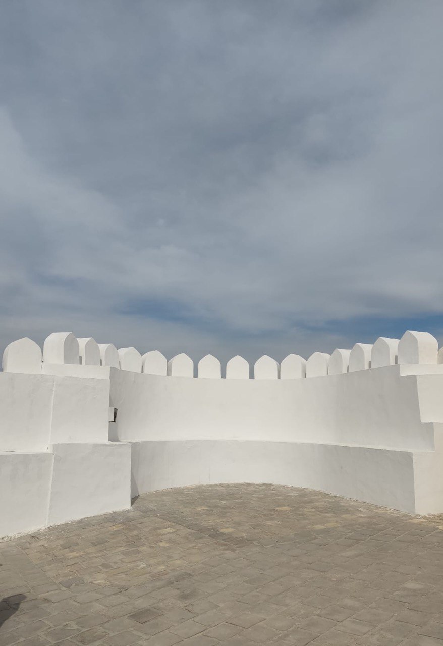 Города и горы Ташкент-Чимган-Самарканд-Бухара (15/25)