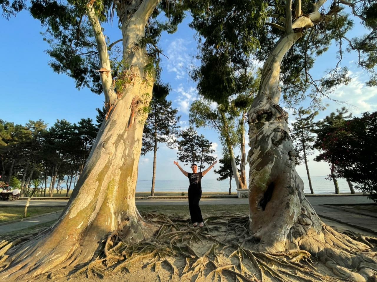 Авторский фитнес тур в Абхазию с 1-11 октября (4/52)