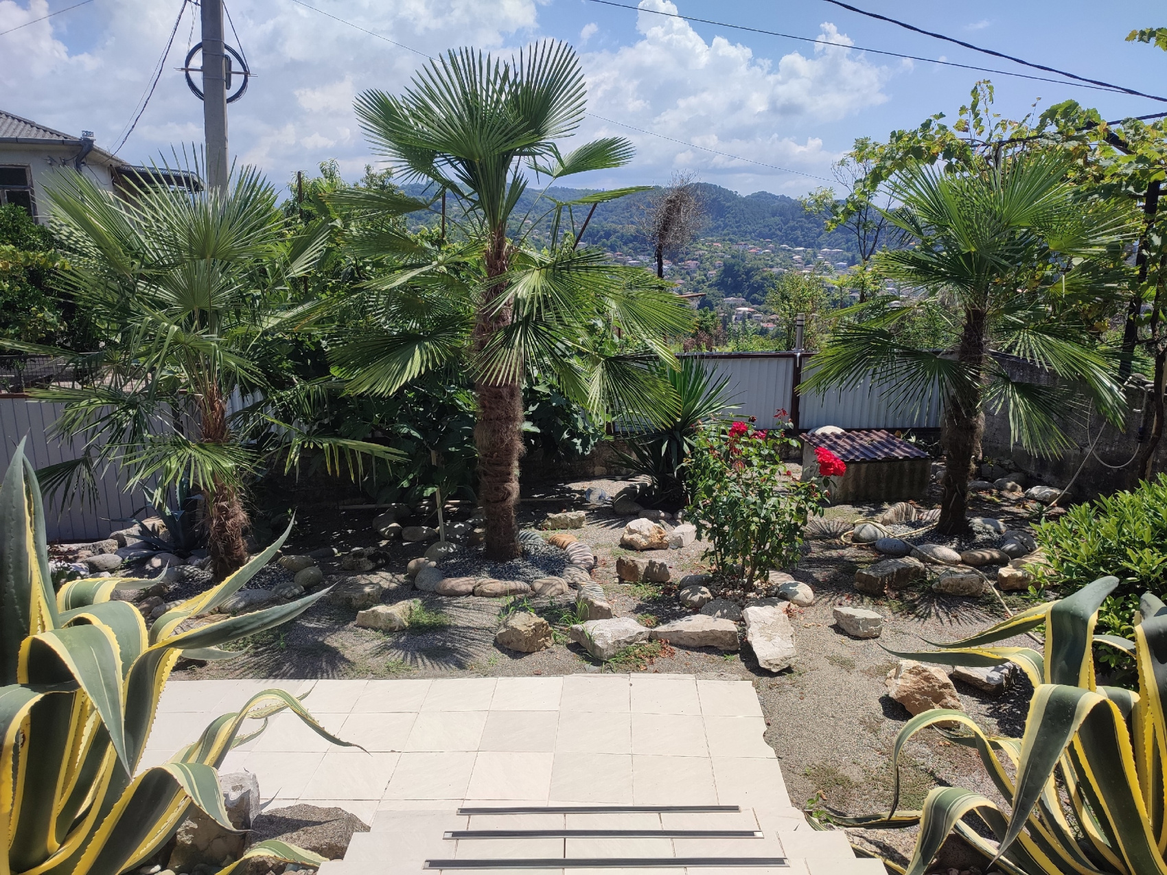 Активный тур в Абхазию: экскурсии, фитнес, море (5/55)