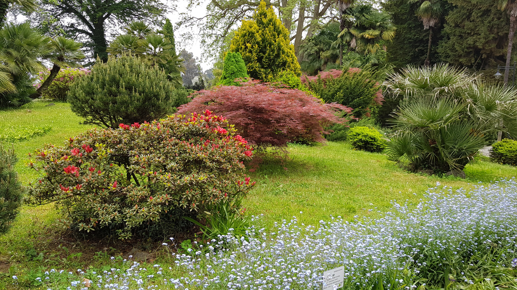 Вокруг Грузии за 8 дней (7/68)