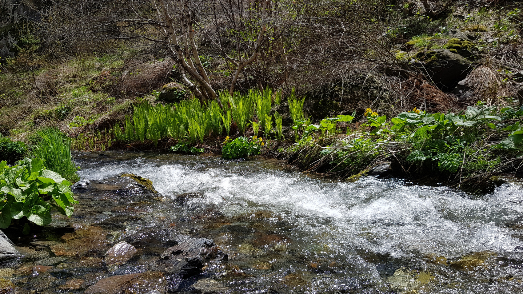 Вокруг Грузии за 8 дней (29/68)