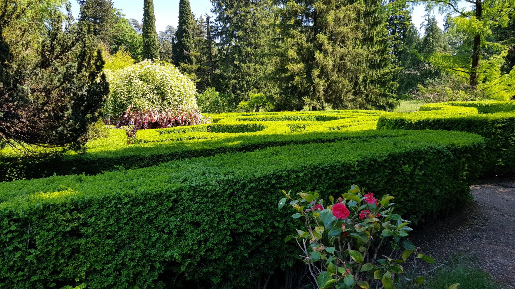 Вокруг Грузии за 8 дней (13/68)