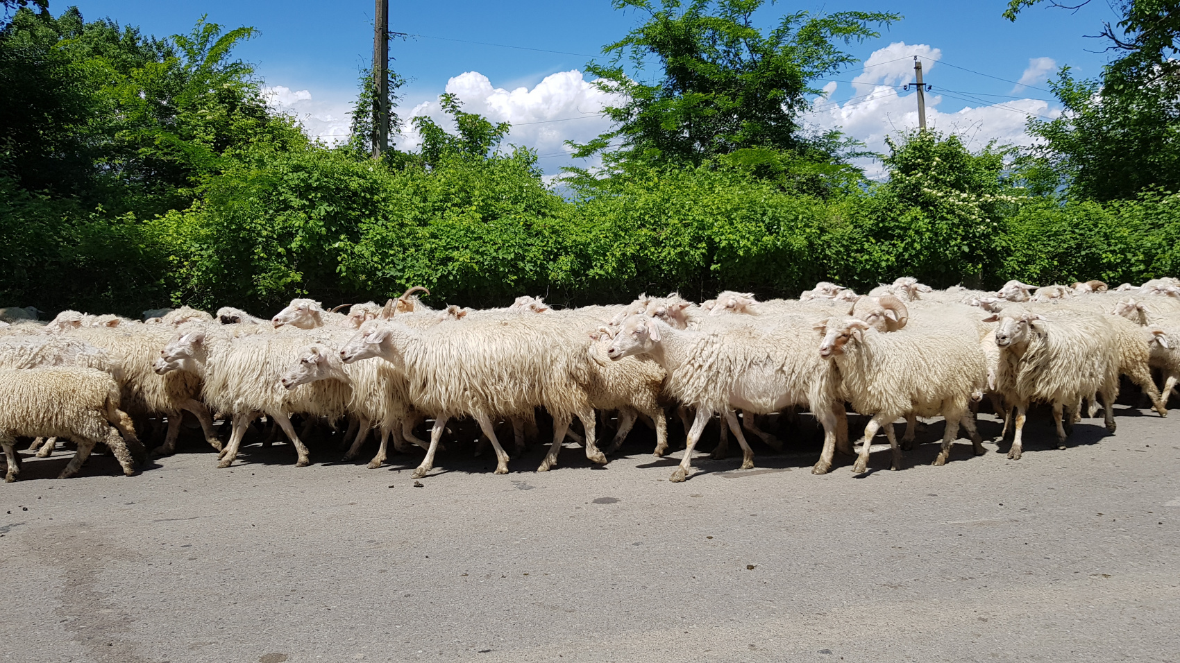 Вокруг Грузии за 8 дней (18/68)