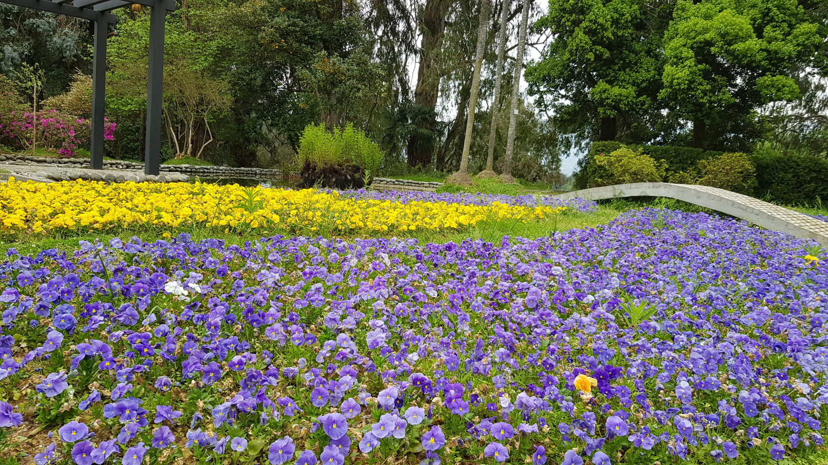 Вокруг Грузии за 8 дней (4/68)
