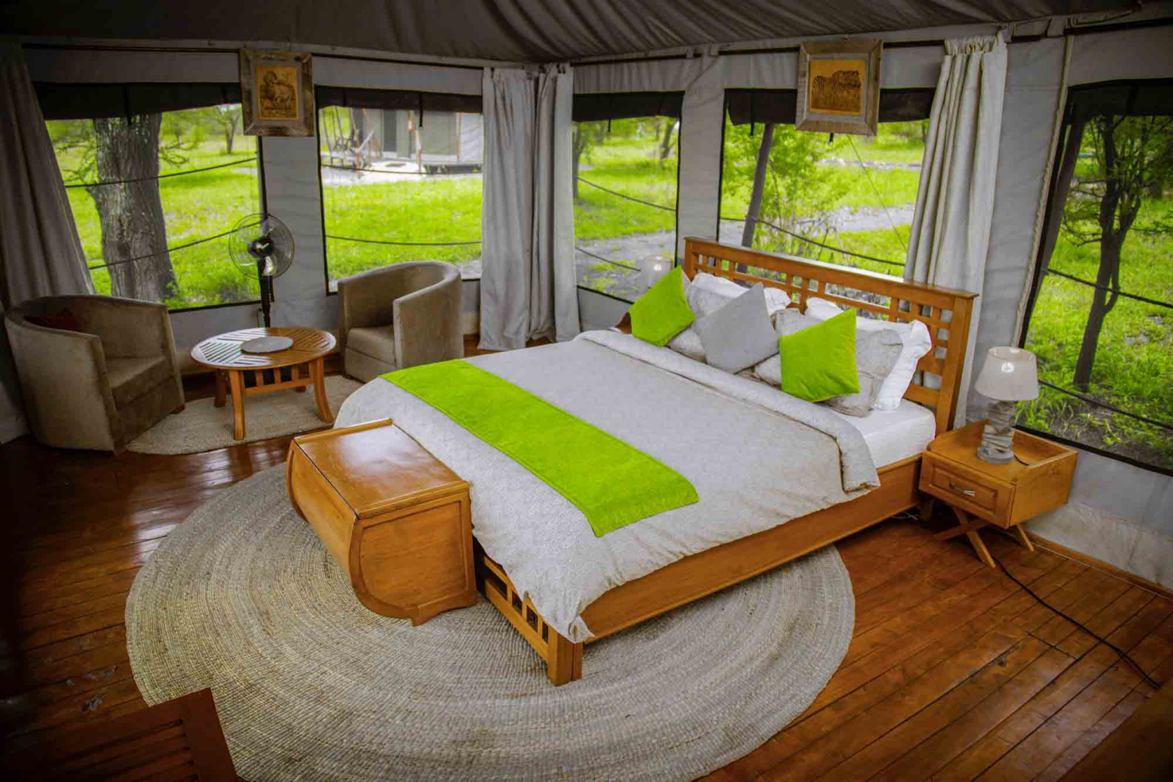 8-дневный миграционный речной переход антилоп гну (6/6)