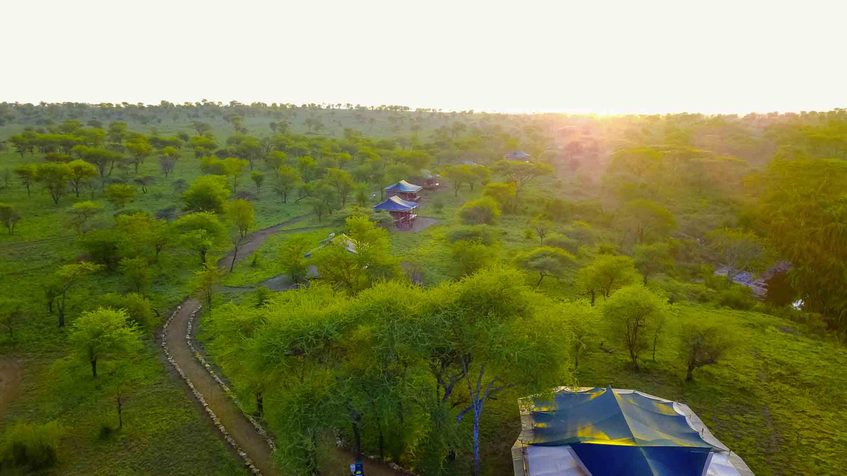 8-дневный миграционный речной переход антилоп гну (5/6)