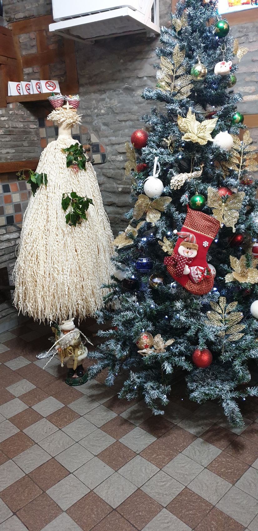 Зимняя Сказка о Грузии - Новый Год с нами... Горнолыжки и исторические места (22/70)