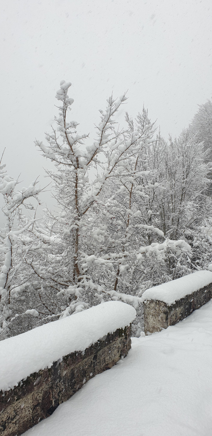 Зимняя Сказка о Грузии - Новый Год с нами... Горнолыжки и исторические места (30/70)